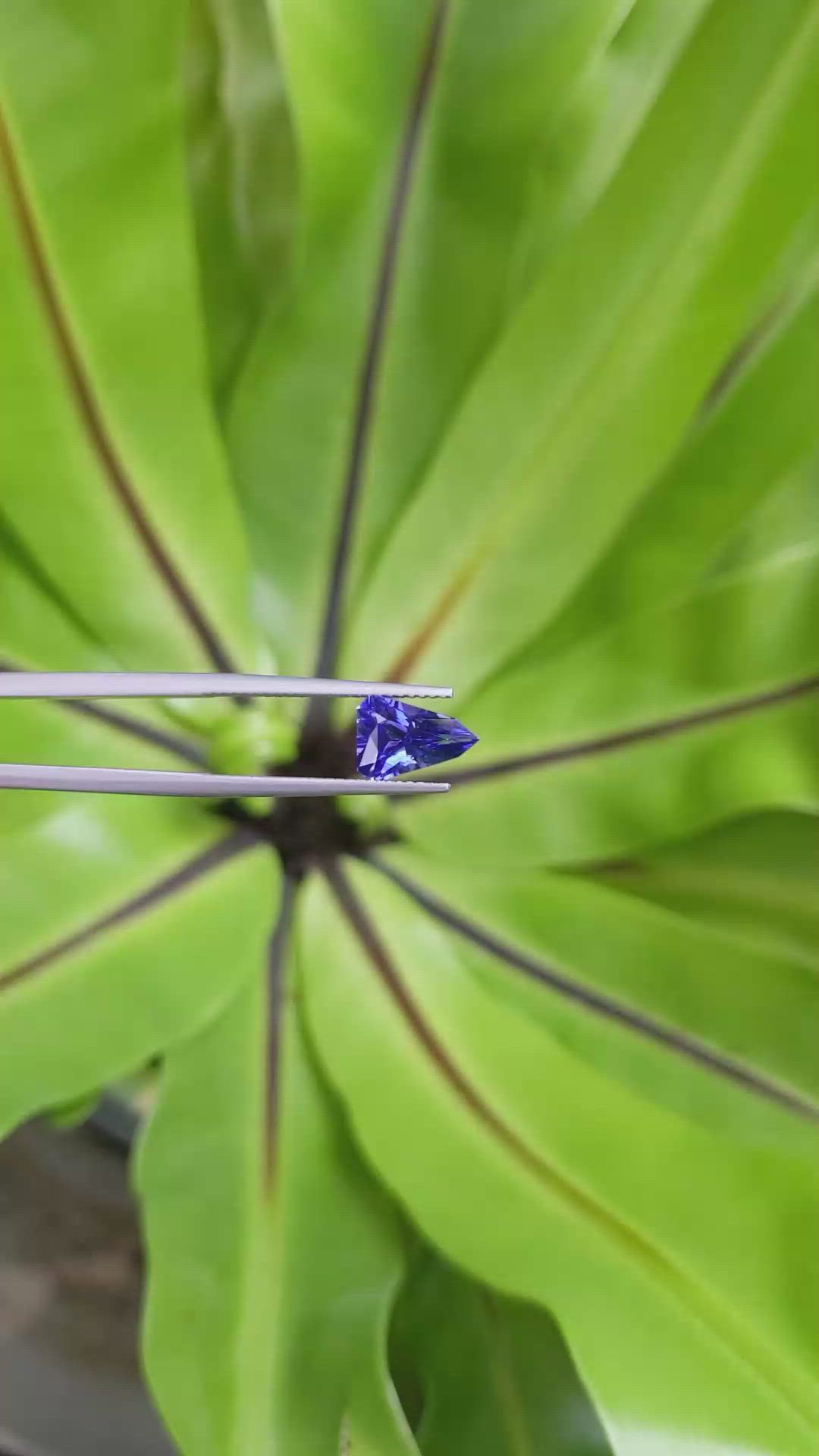 1.84 Ct. Blue Sapphire from Ceylon (Sri Lanka) Size Video