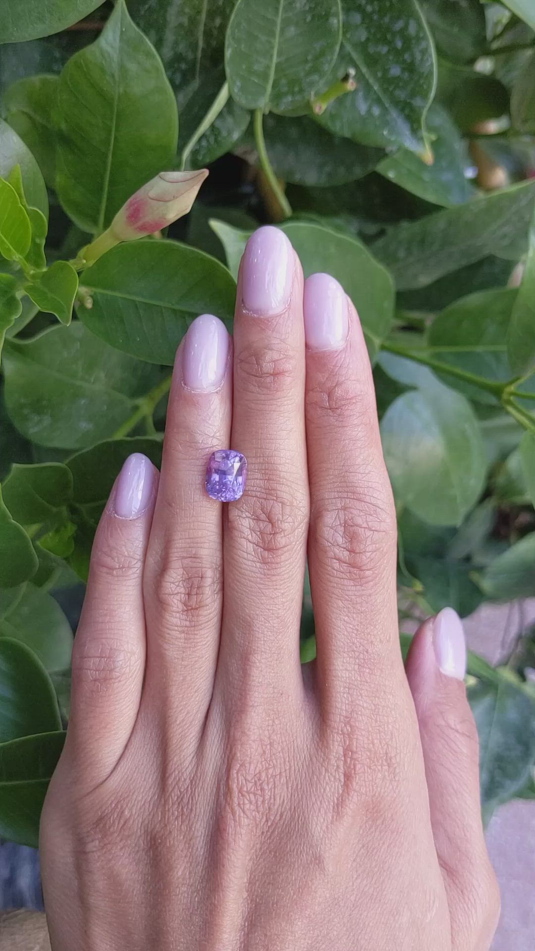 4.20 Ct. Pinkish Purple Sapphire from Ceylon (Sri Lanka) Size Video
