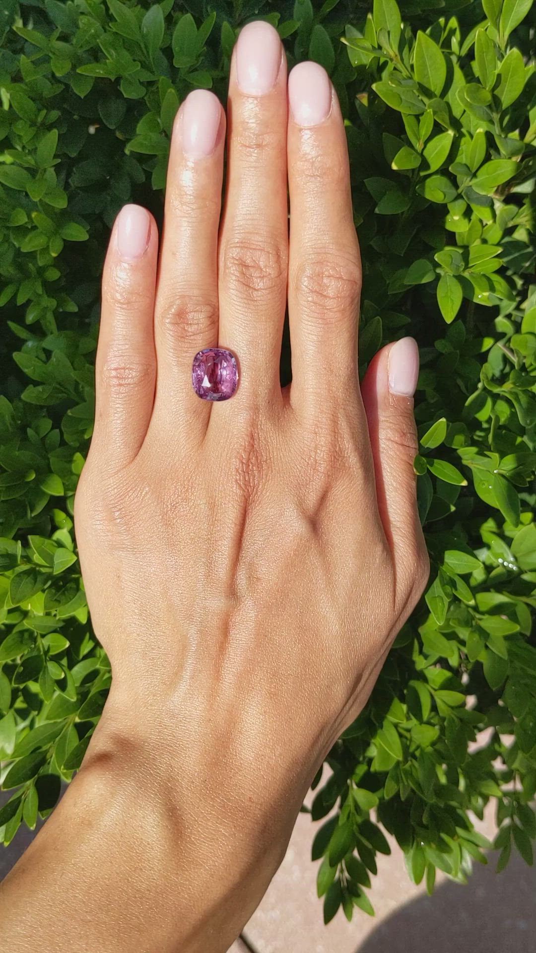 8.46 Ct. Pinkish Purple Sapphire from Ceylon (Sri Lanka) Size Video