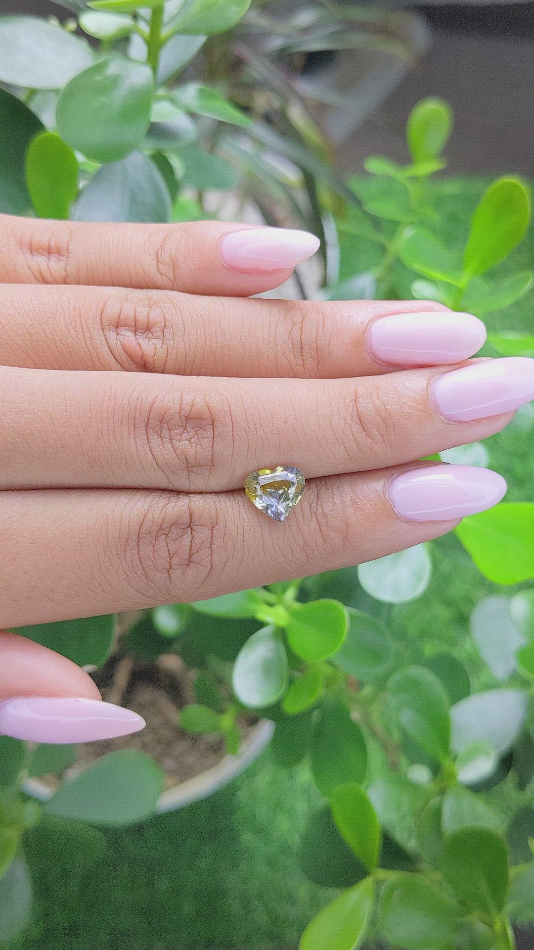 2.20 Ct. Bi Color Sapphire from Africa Size Video
