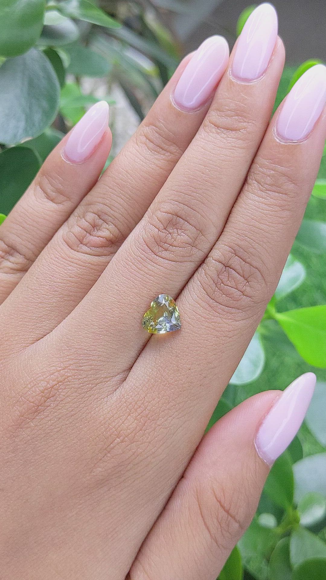 2.20 Ct. Bi Color Sapphire from Africa Size Video