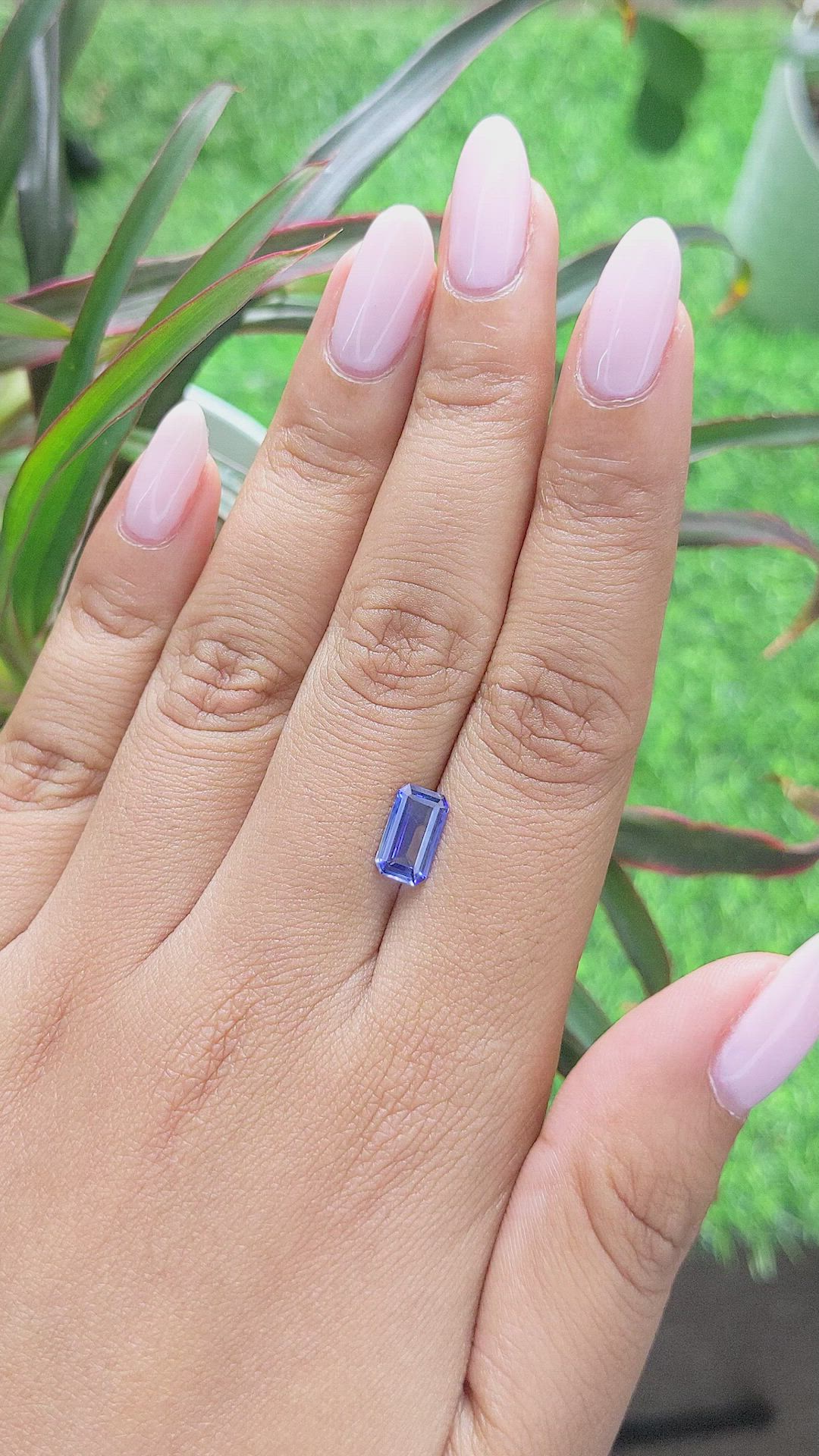 1.57 Ct. Bi Color Sapphire from Africa Size Video