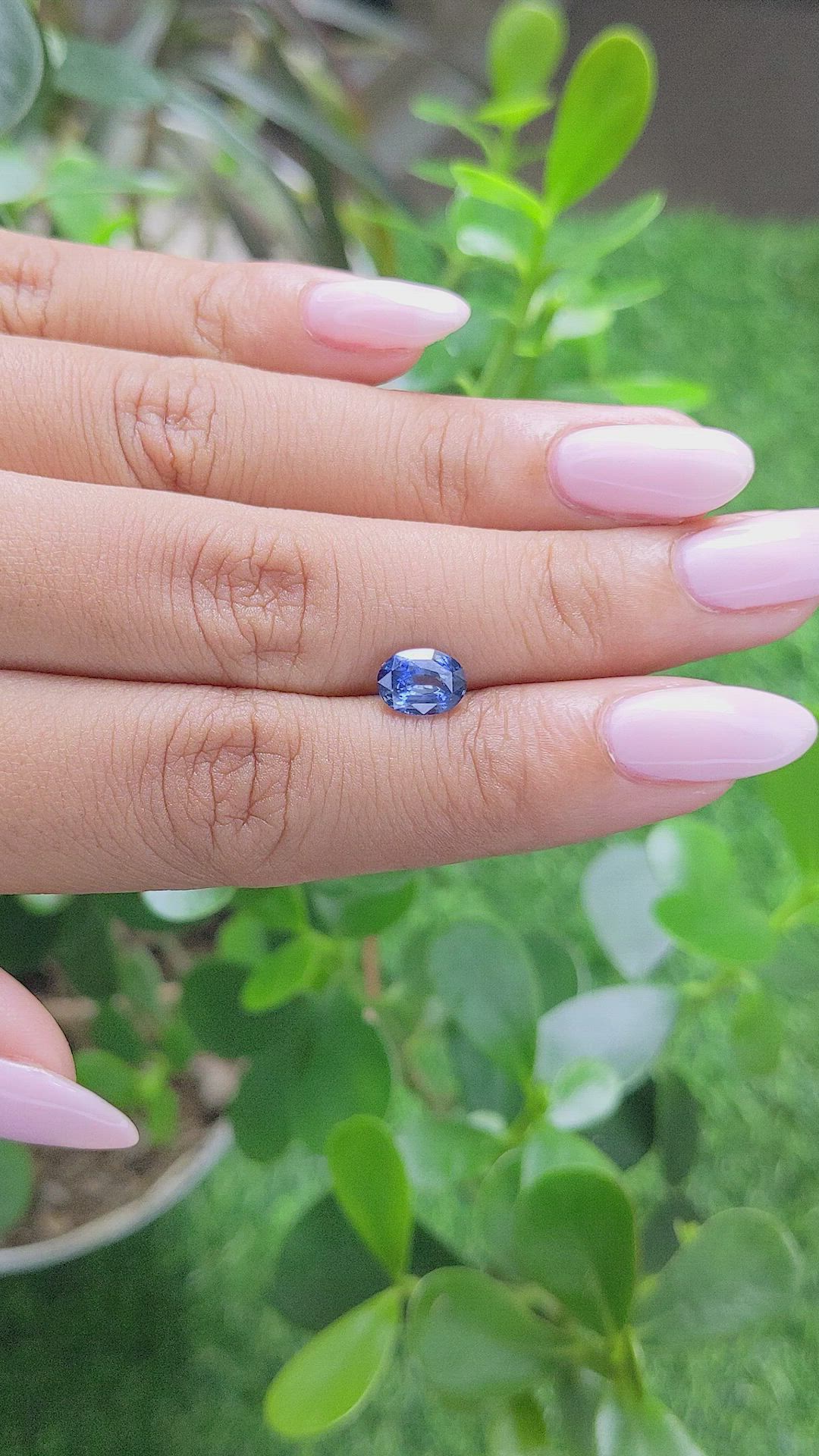 1.52 Ct. Bi Color Sapphire from Africa Size Video