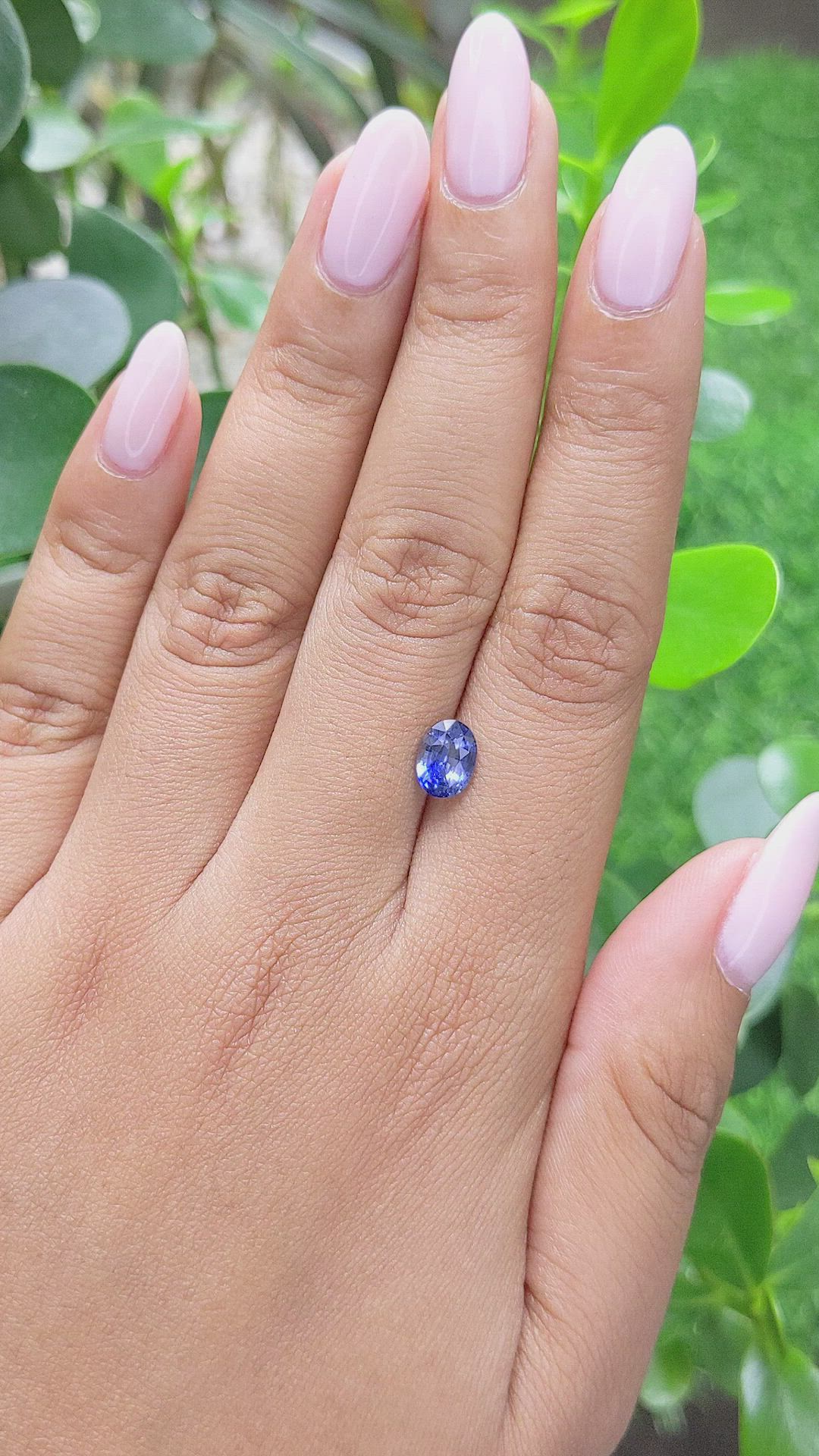 1.52 Ct. Bi Color Sapphire from Africa Size Video