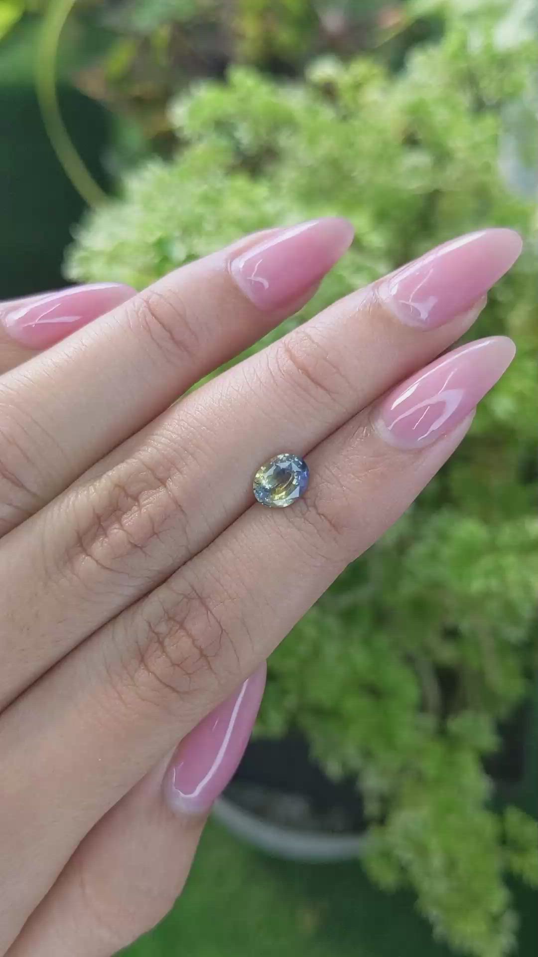 1.11 Ct. Bi Color Sapphire from Ceylon (Sri Lanka) Size Video