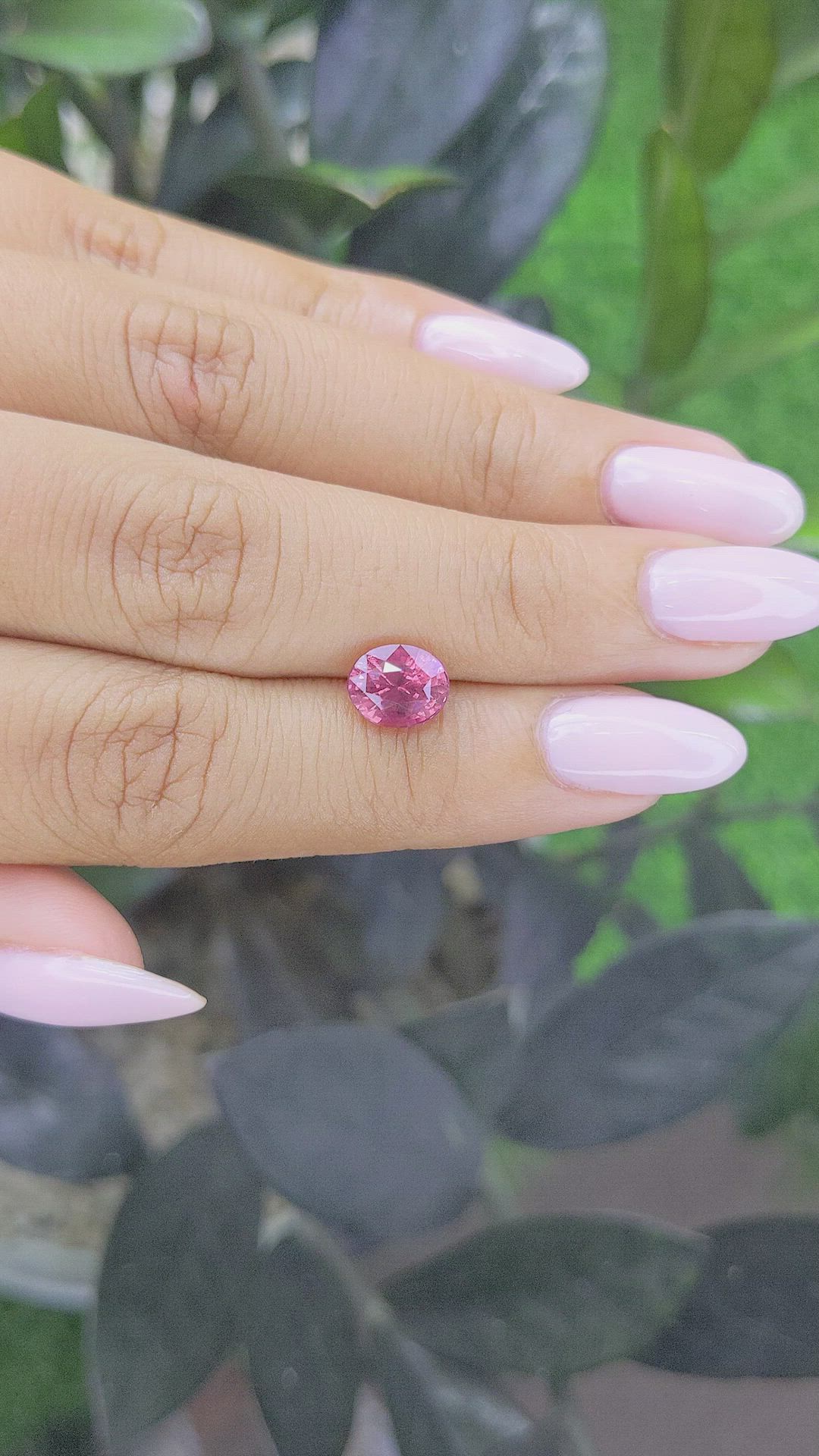 2.20 Ct. Pink Sapphire from Ceylon (Sri Lanka) Size Video