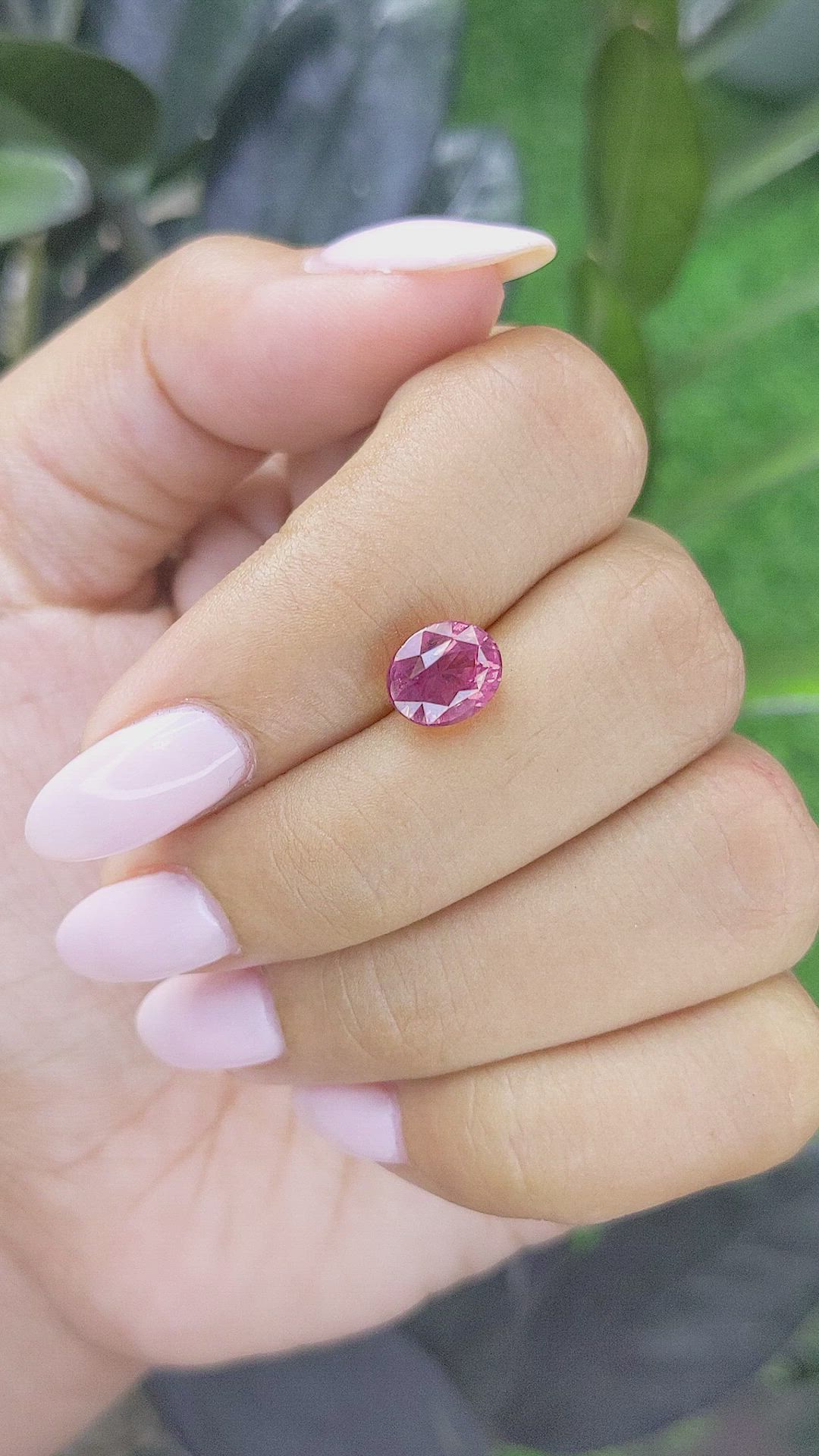 2.20 Ct. Pink Sapphire from Ceylon (Sri Lanka) Size Video