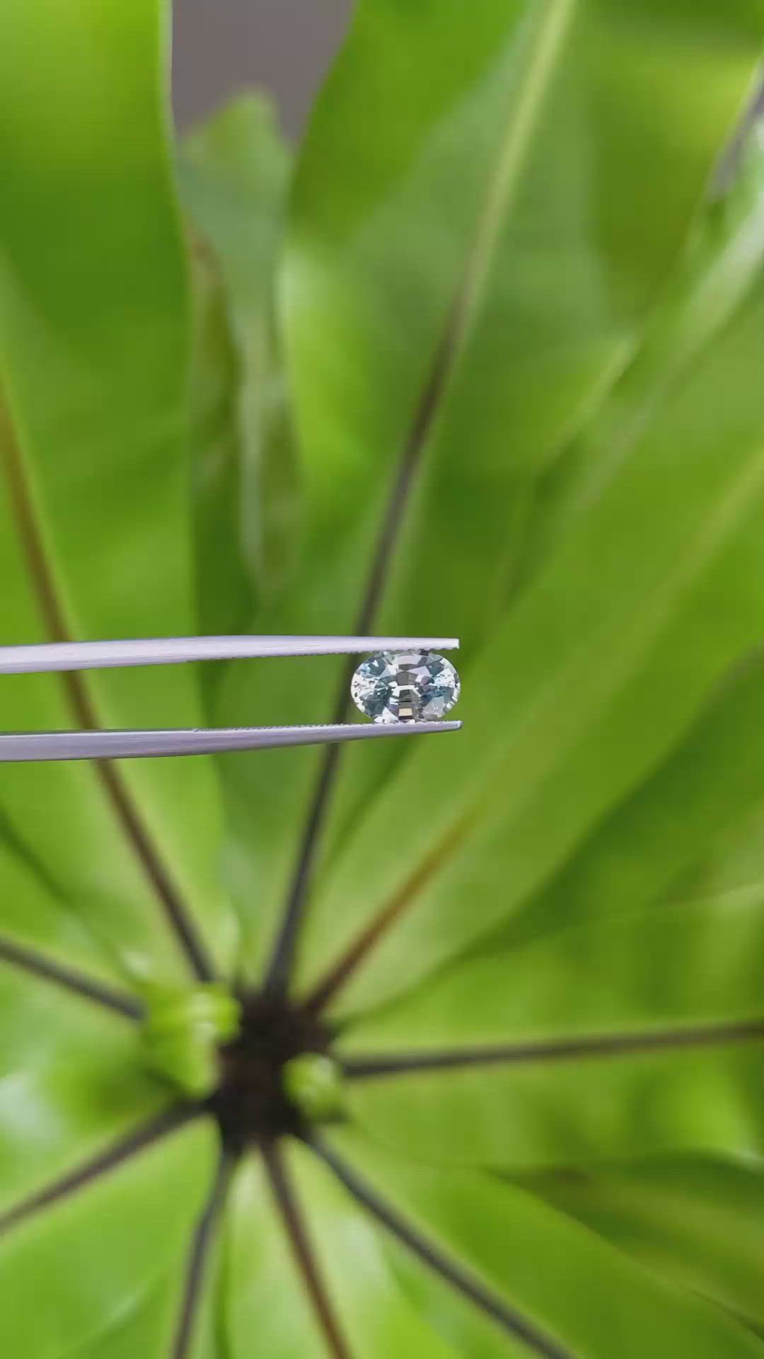 1.56 Ct. Bi Color Sapphire from Montana Size Video