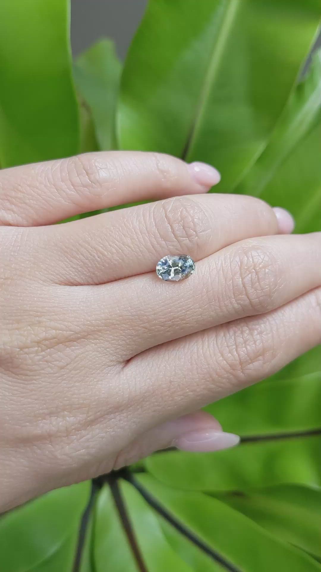 1.56 Ct. Bi Color Sapphire from Montana Size Video