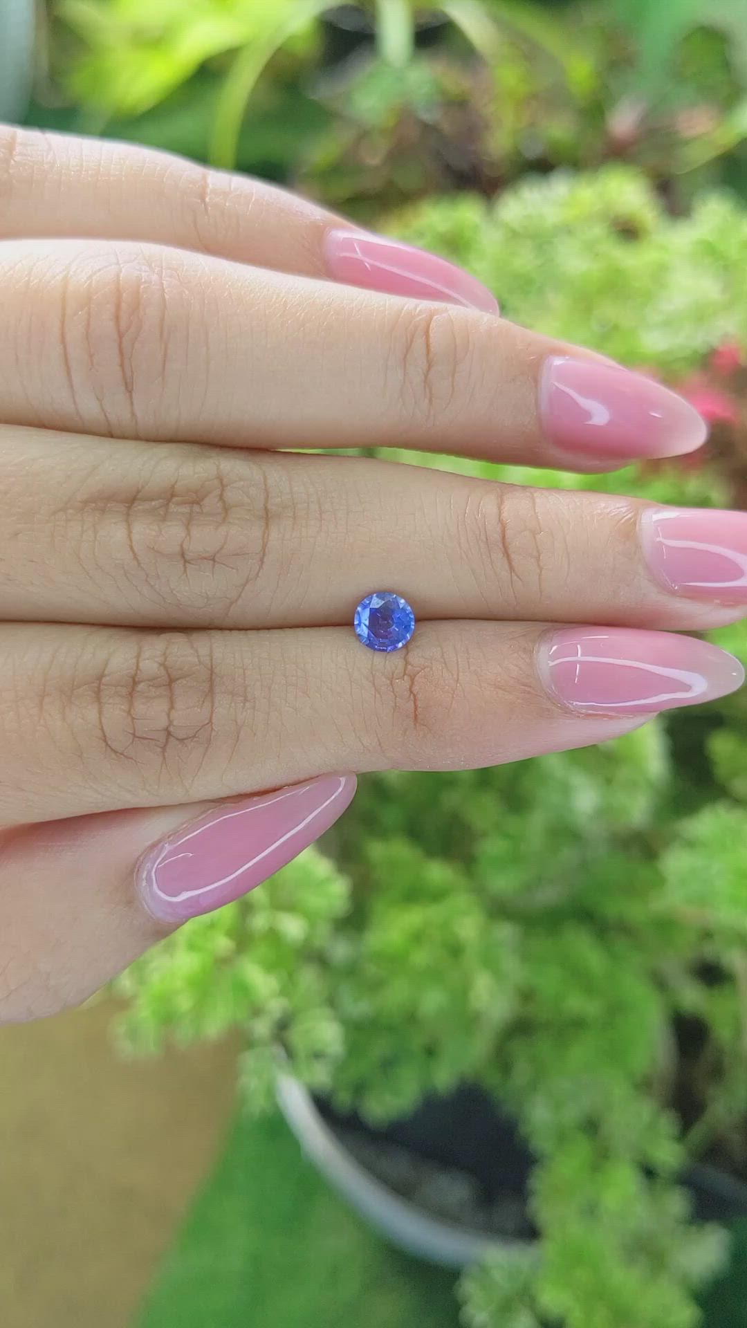 0.53 Ct. Blue Sapphire from Ceylon (Sri Lanka) Size Video