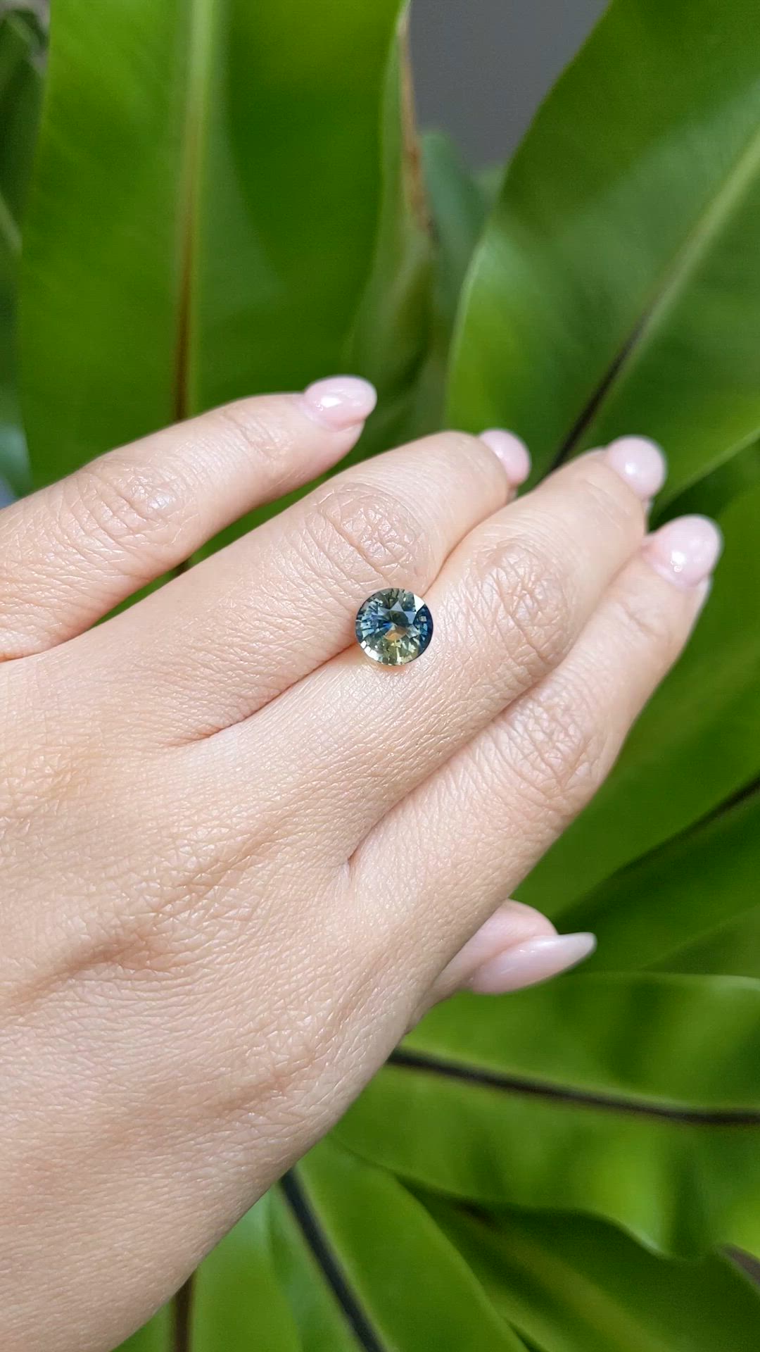 2.70 Ct. Bi Color Sapphire from Ceylon (Sri Lanka) Size Video