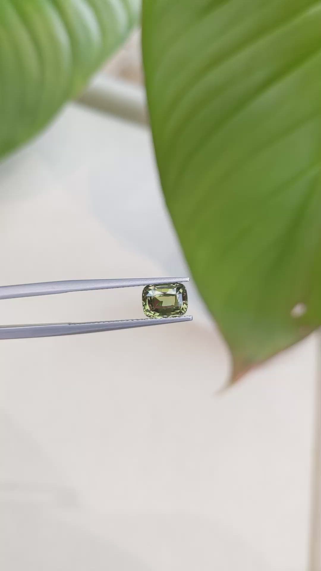 1.86 Ct. Yellowish Green Sapphire from Ceylon (Sri Lanka) Size Video