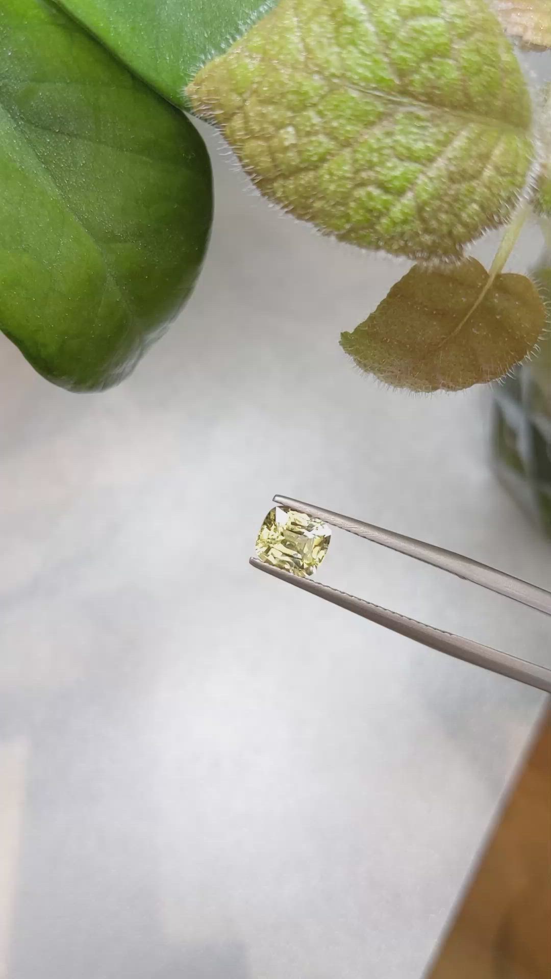 1.45 Ct. Yellow Sapphire from Ceylon (Sri Lanka) Size Video