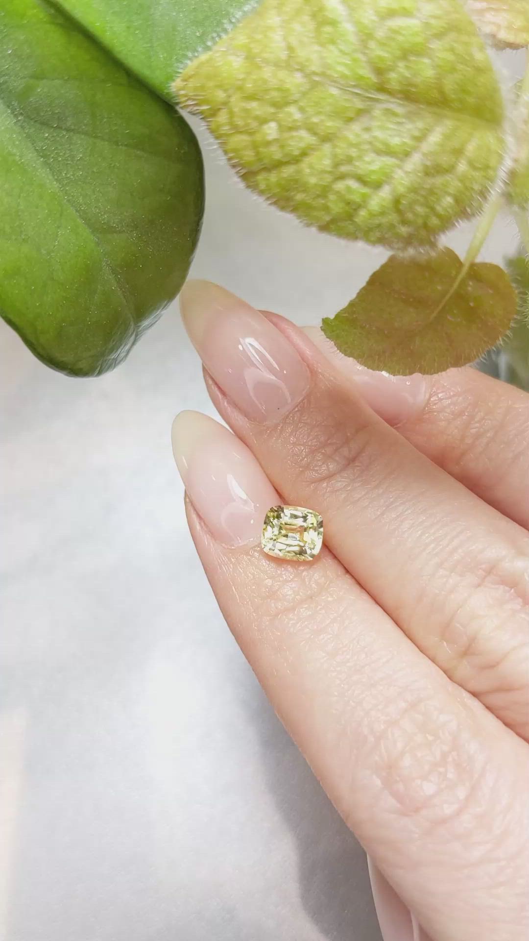 1.45 Ct. Yellow Sapphire from Ceylon (Sri Lanka) Size Video