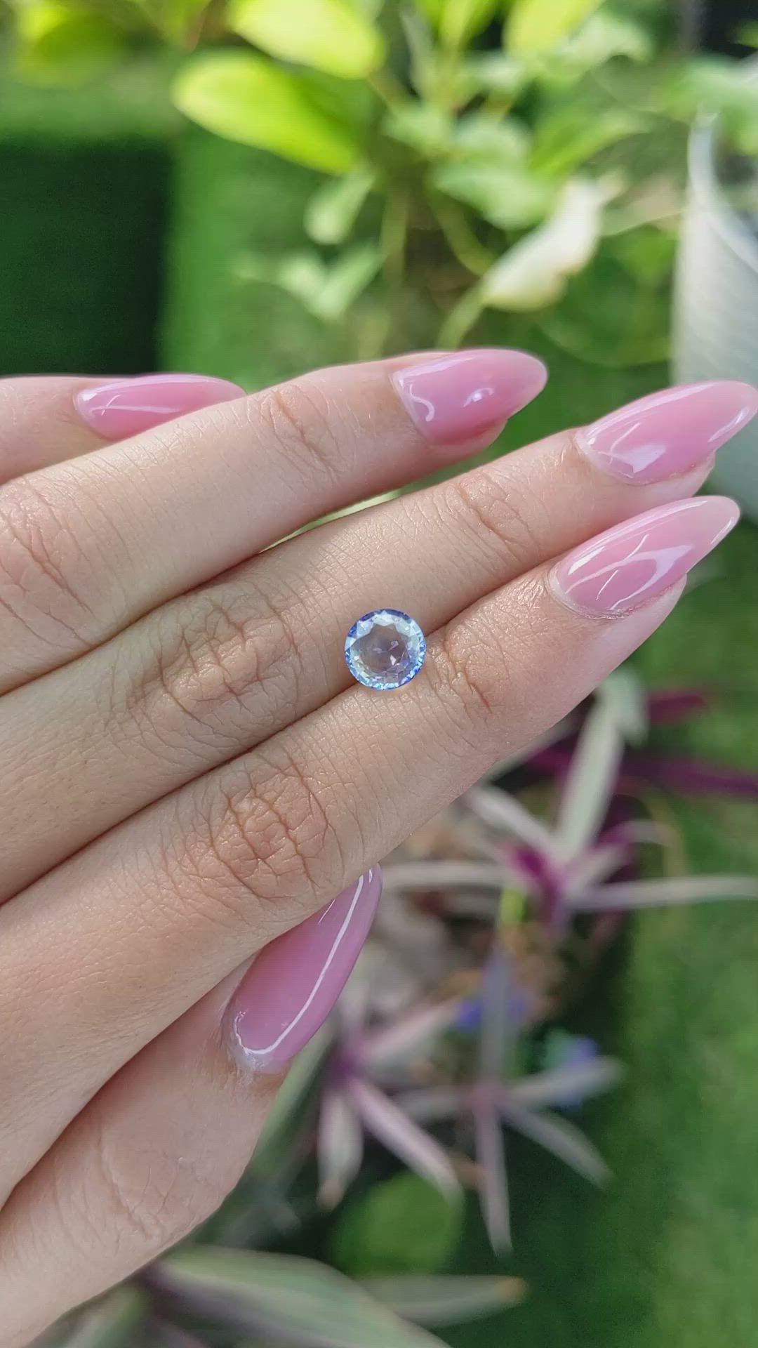 1.59 Ct. Bi Color Sapphire from Ceylon (Sri Lanka) Size Video