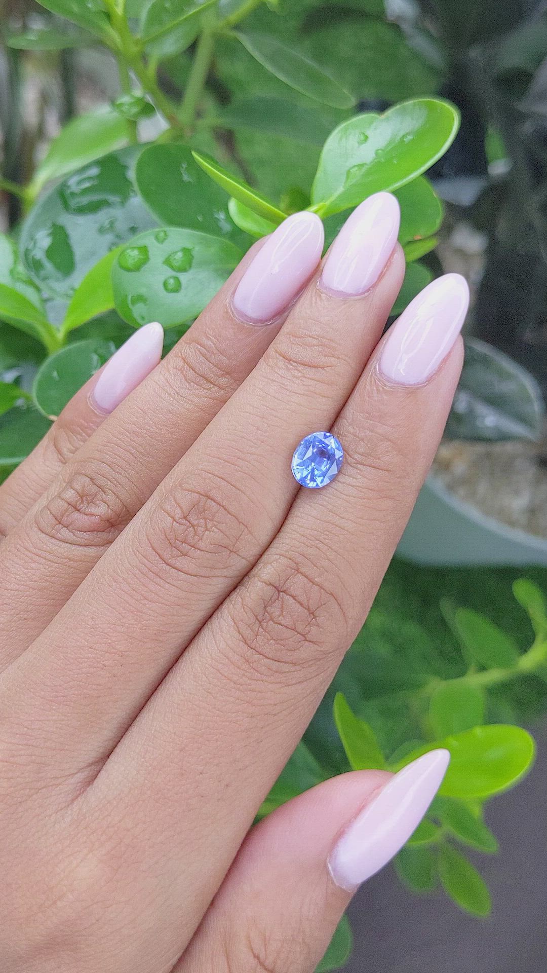 1.52 Ct. Blue Sapphire from Ceylon (Sri Lanka) Size Video