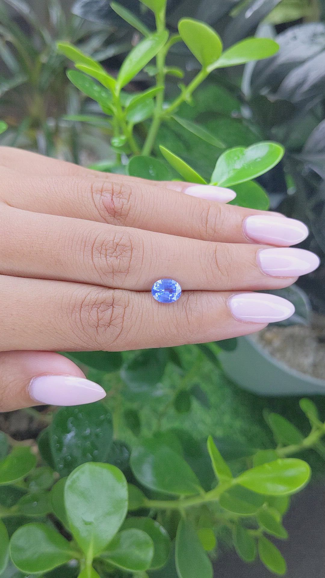 1.52 Ct. Blue Sapphire from Ceylon (Sri Lanka) Size Video