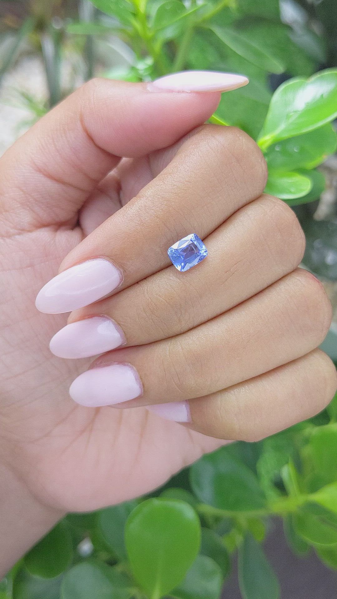 1.51 Ct. Blue Sapphire from Ceylon (Sri Lanka) Size Video