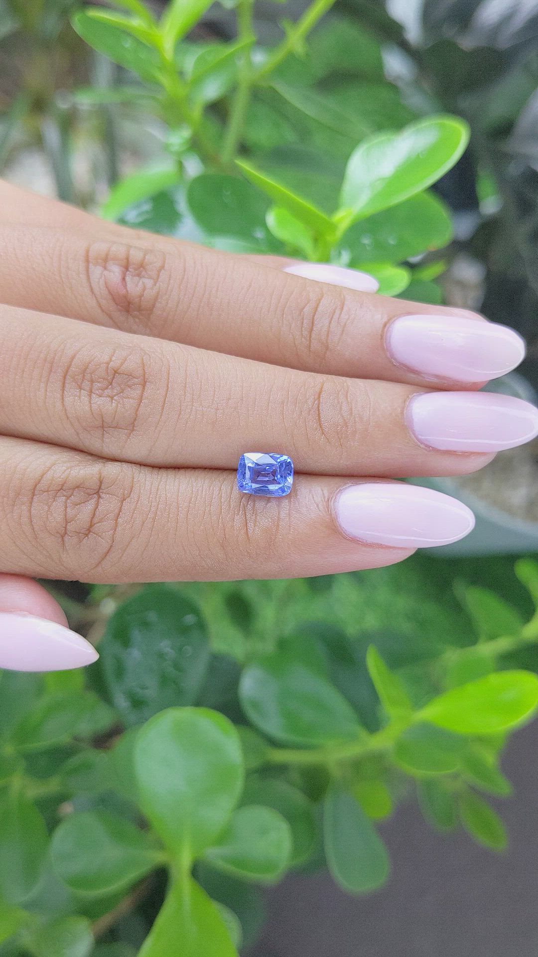 1.51 Ct. Blue Sapphire from Ceylon (Sri Lanka) Size Video
