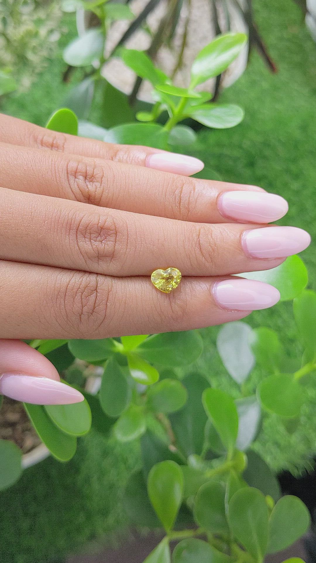 1.44 Ct. Yellow Sapphire from Ceylon (Sri Lanka) Size Video