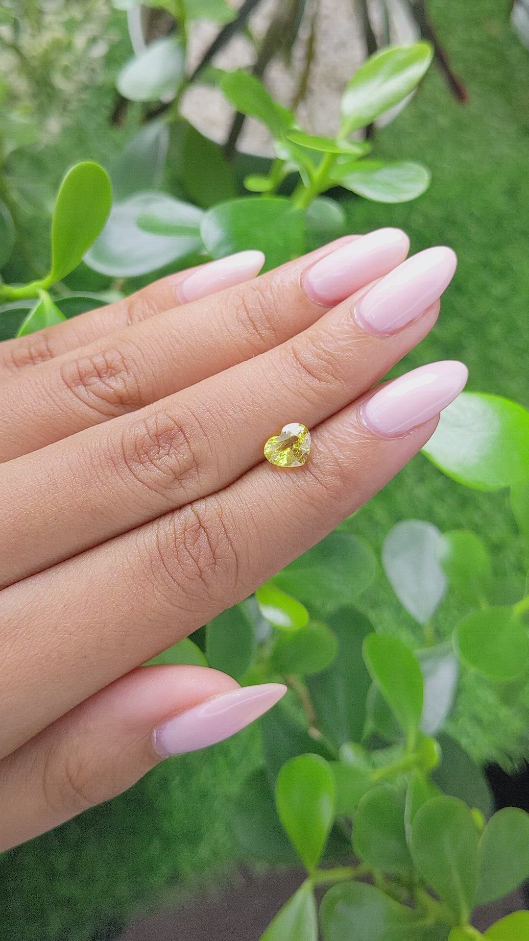 1.44 Ct. Yellow Sapphire from Ceylon (Sri Lanka) Size Video