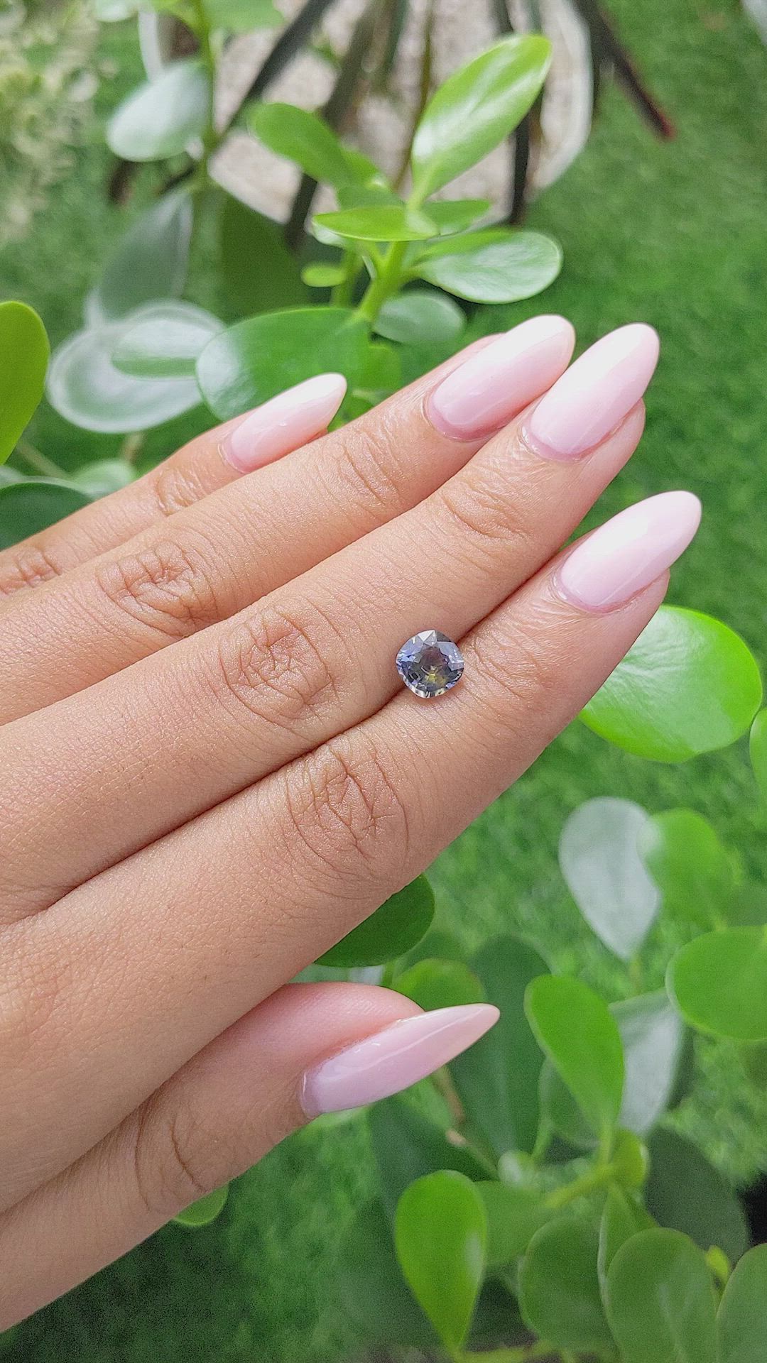 1.17 Ct. Bi Color Sapphire from Ceylon (Sri Lanka) Size Video