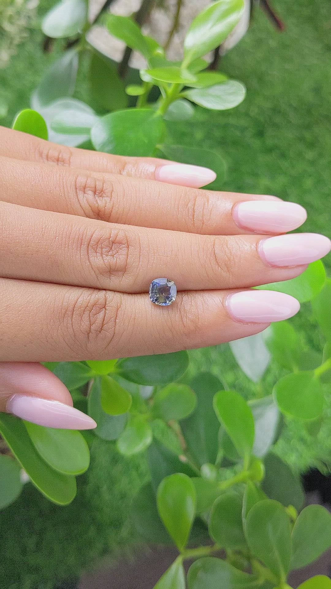 1.17 Ct. Bi Color Sapphire from Ceylon (Sri Lanka) Size Video
