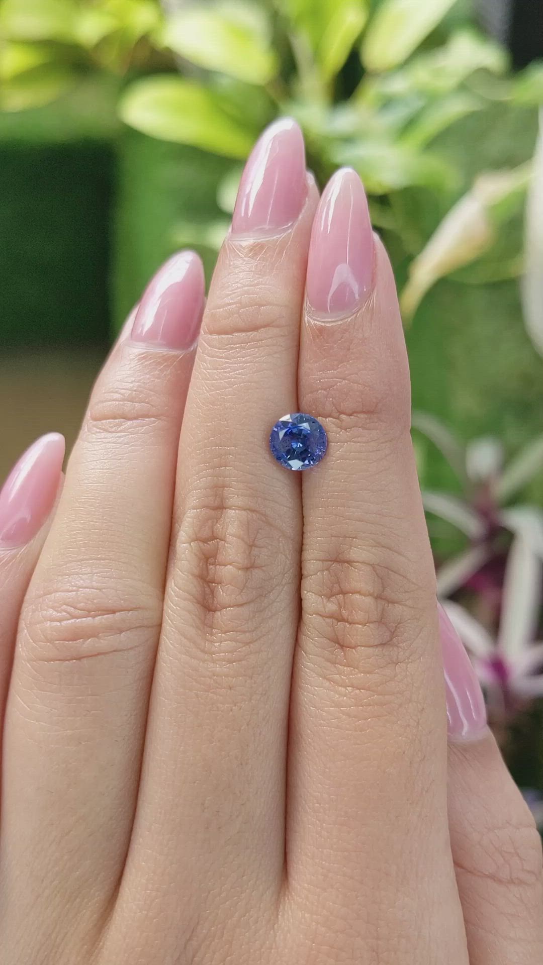 1.56 Ct. Blue Sapphire from Ceylon (Sri Lanka) Size Video