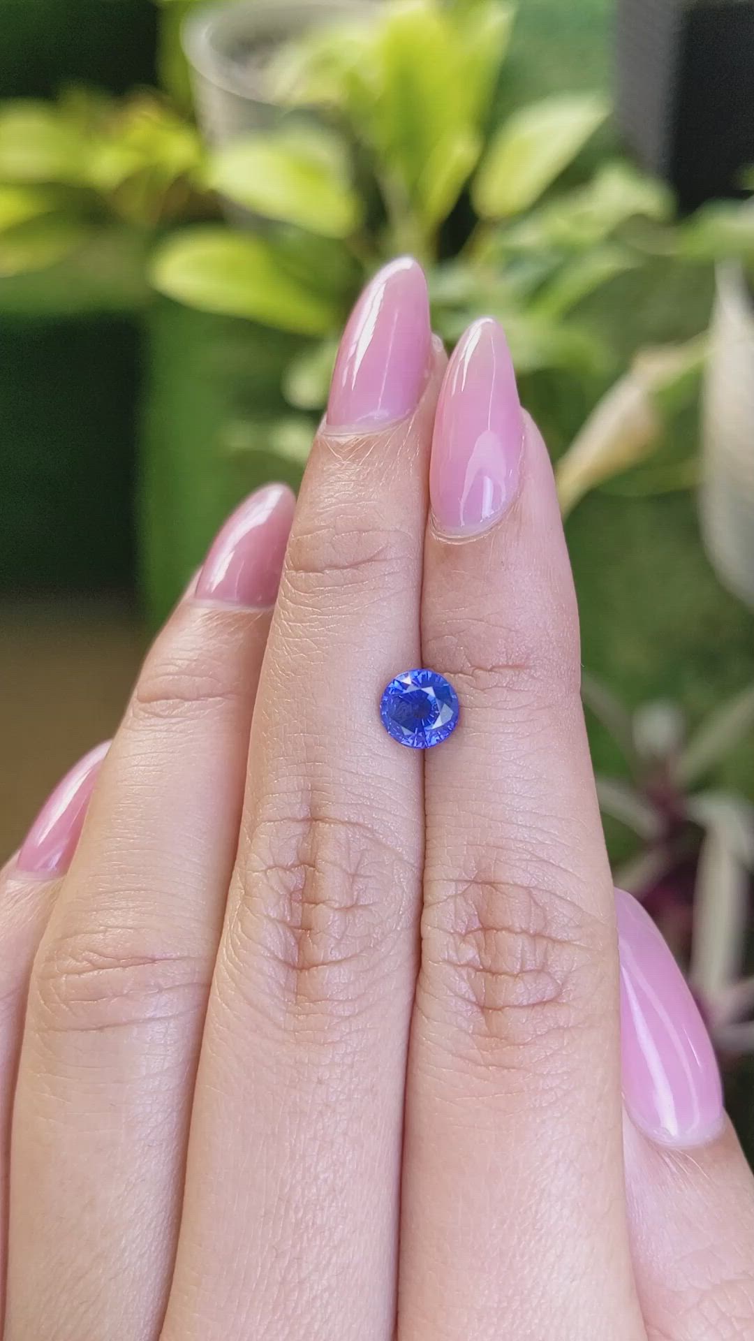 1.51 Ct. Blue Sapphire from Ceylon (Sri Lanka) Size Video