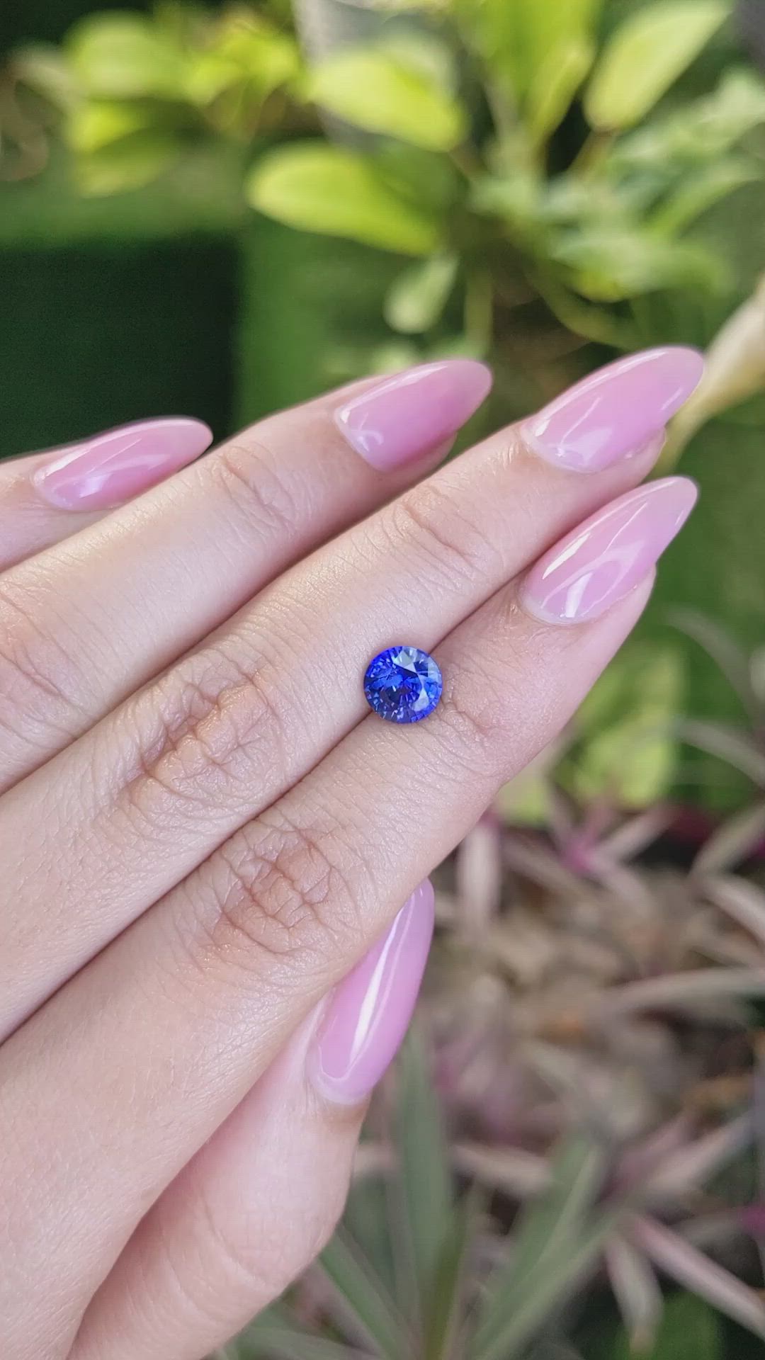 1.53 Ct. Blue Sapphire from Ceylon (Sri Lanka) Size Video