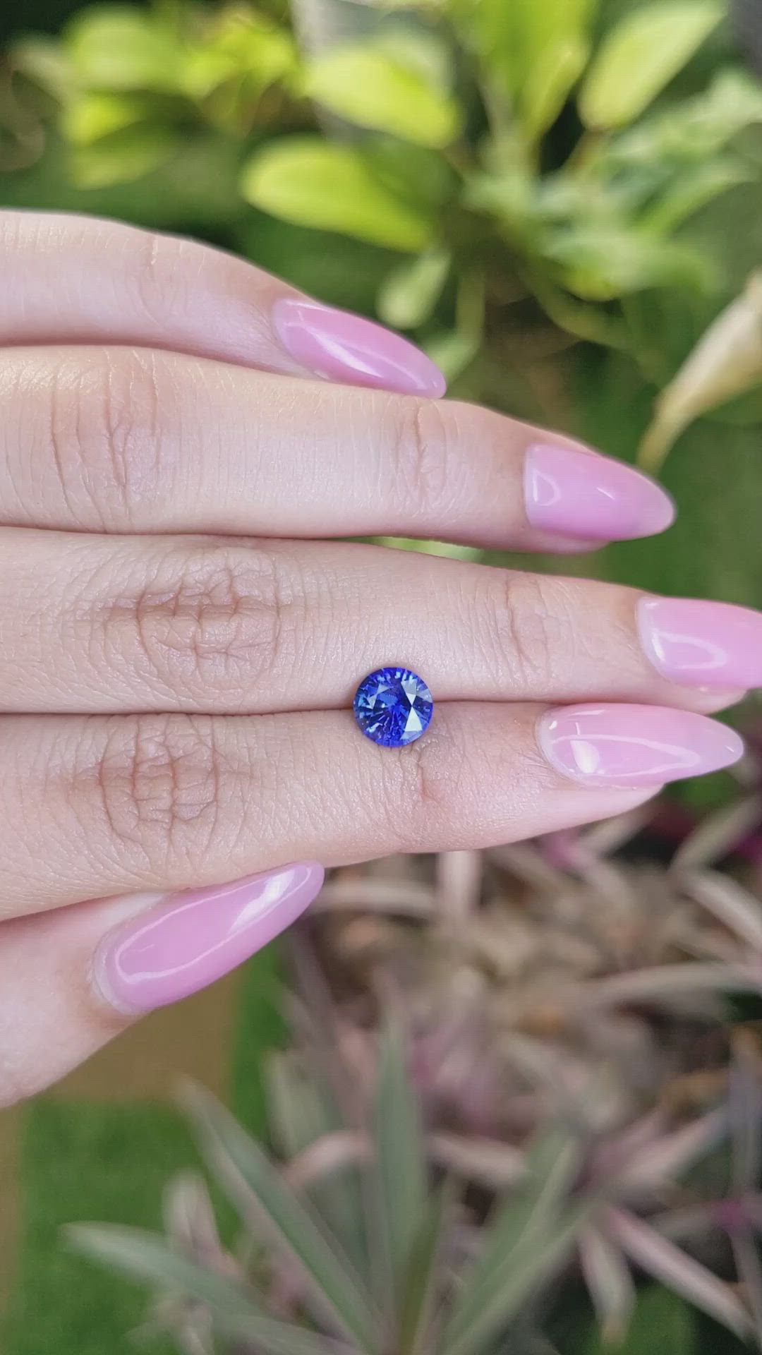 1.53 Ct. Blue Sapphire from Ceylon (Sri Lanka) Size Video