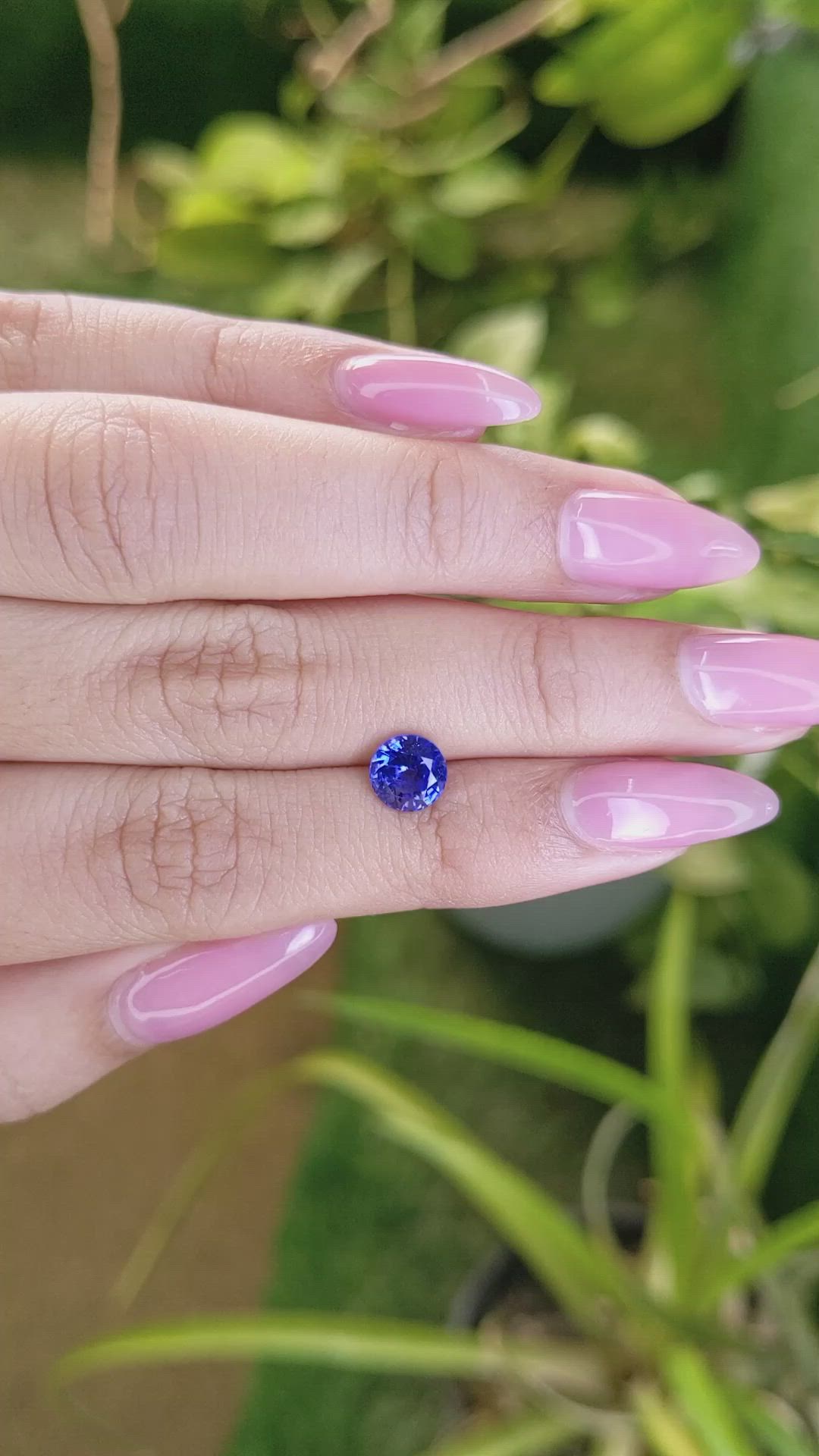 1.51 Ct. Blue Sapphire from Ceylon (Sri Lanka) Size Video