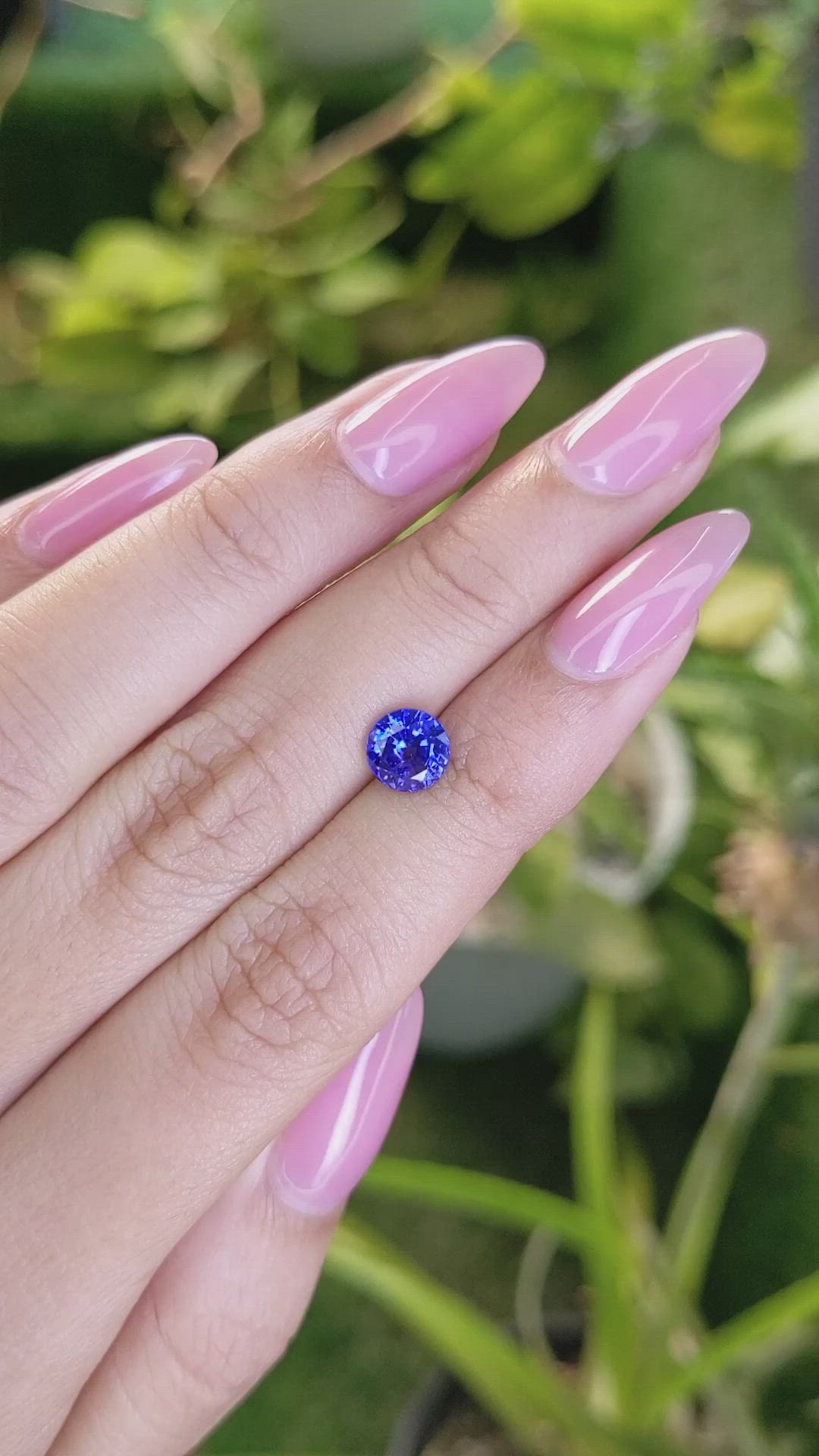 1.51 Ct. Blue Sapphire from Ceylon (Sri Lanka) Size Video