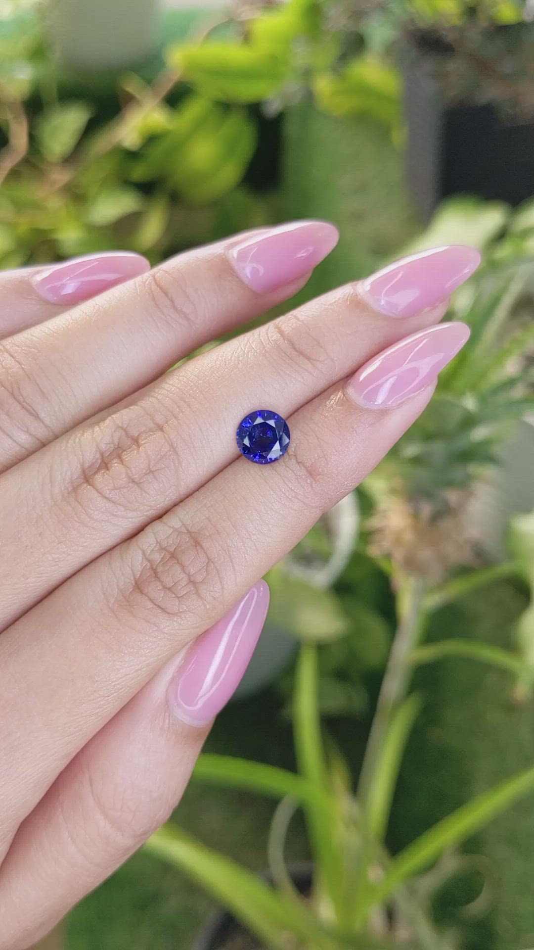 1.58 Ct. Blue Sapphire from Ceylon (Sri Lanka) Size Video
