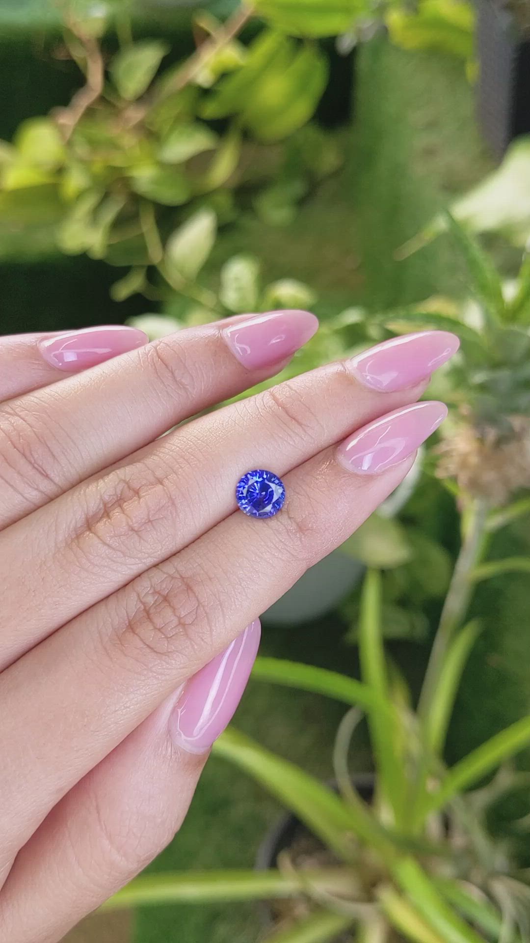 1.63 Ct. Blue Sapphire from Ceylon (Sri Lanka) Size Video