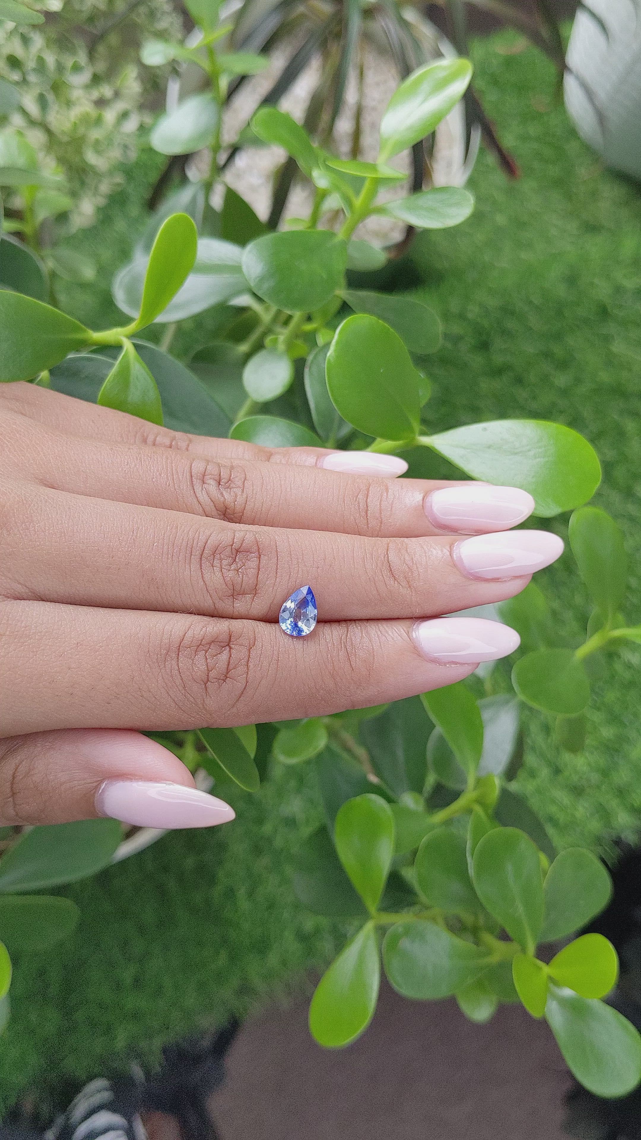 1.19 Ct. Bi Color Sapphire from Ceylon (Sri Lanka) Size Video