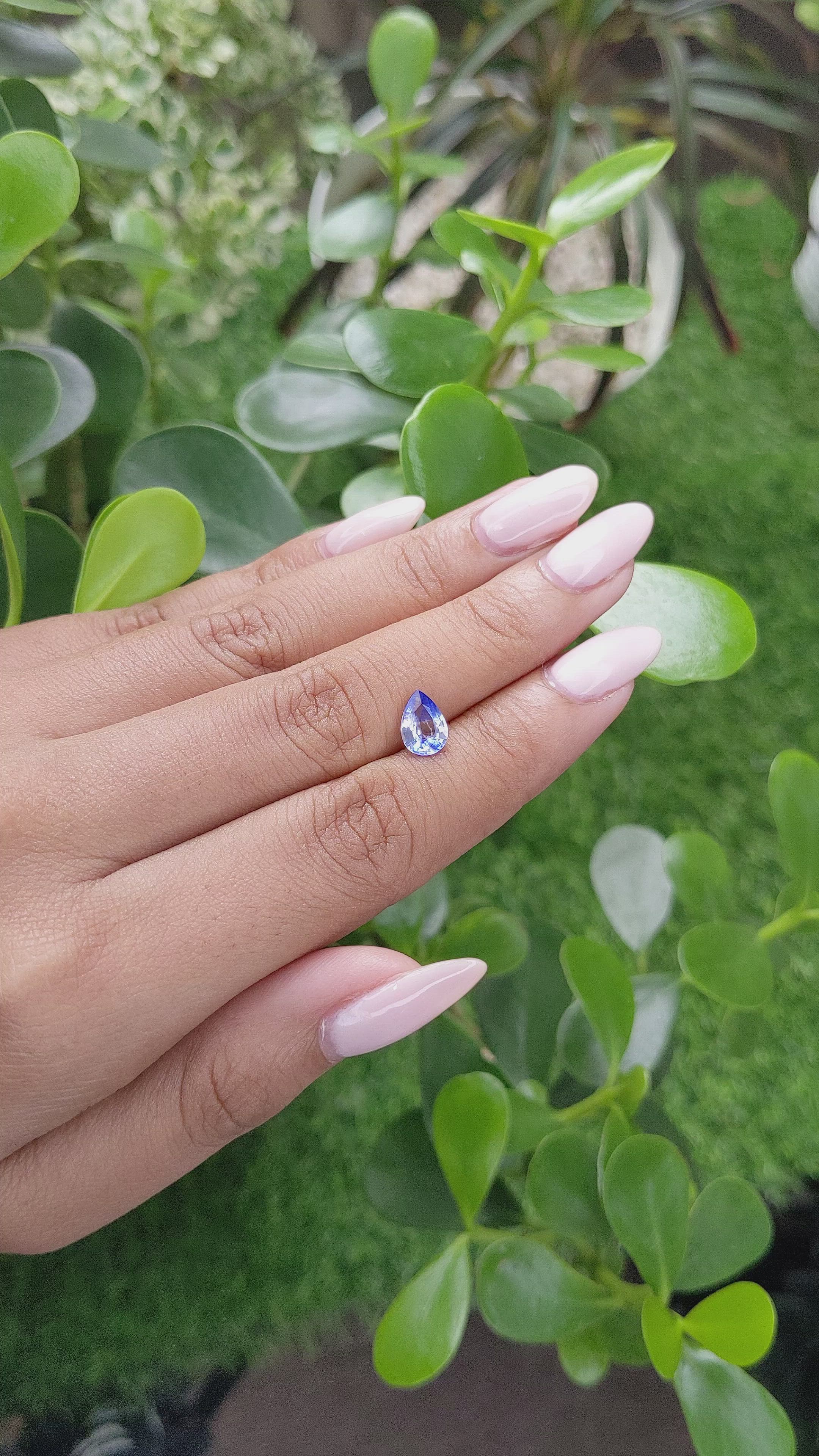 1.19 Ct. Bi Color Sapphire from Ceylon (Sri Lanka) Size Video