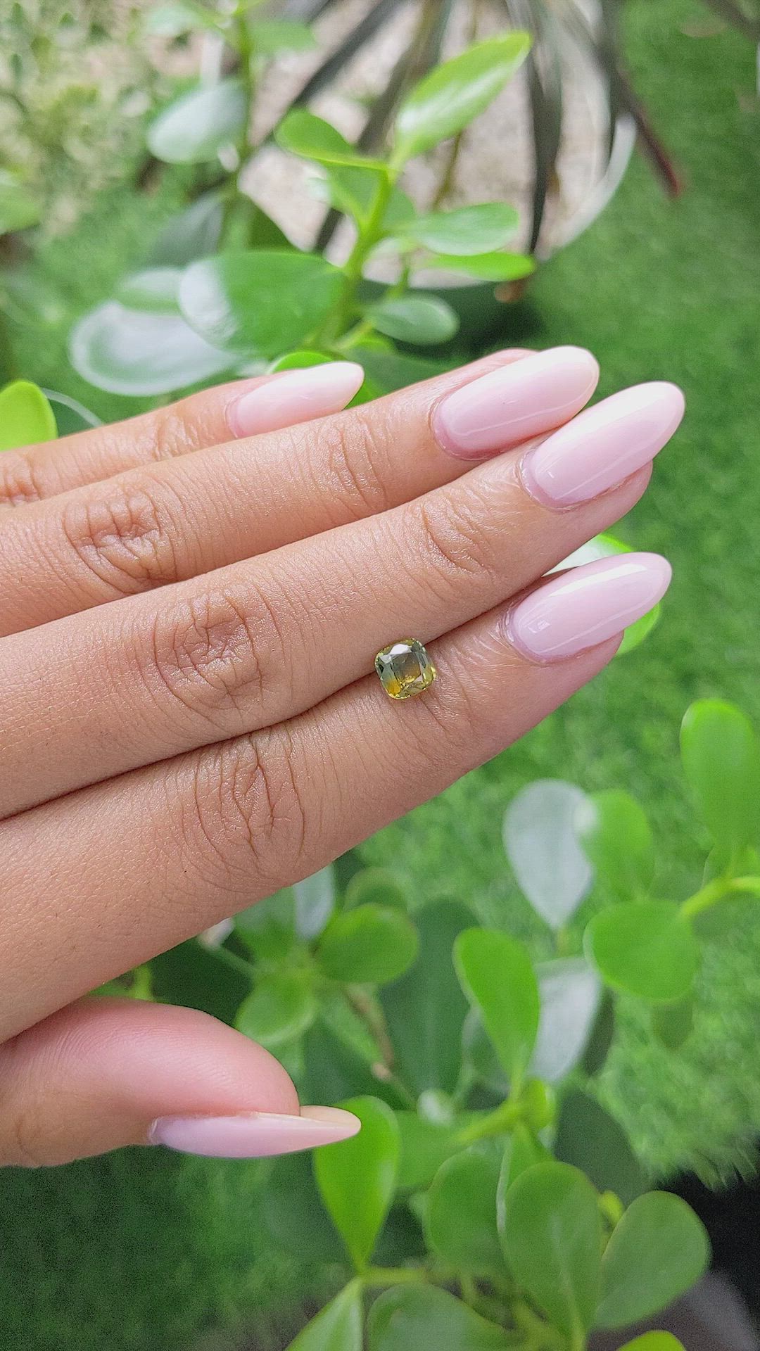 1.00 Ct. Bi Color / Parti Sapphire from Africa Size Video