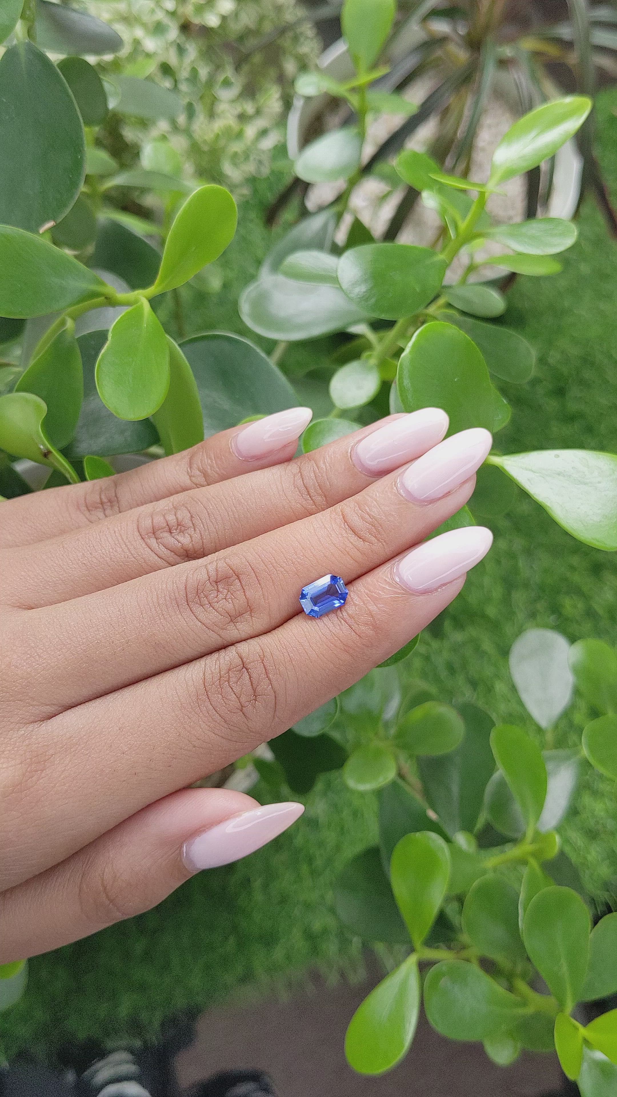 1.50 Ct. Blue Sapphire from Ceylon (Sri Lanka) Size Video