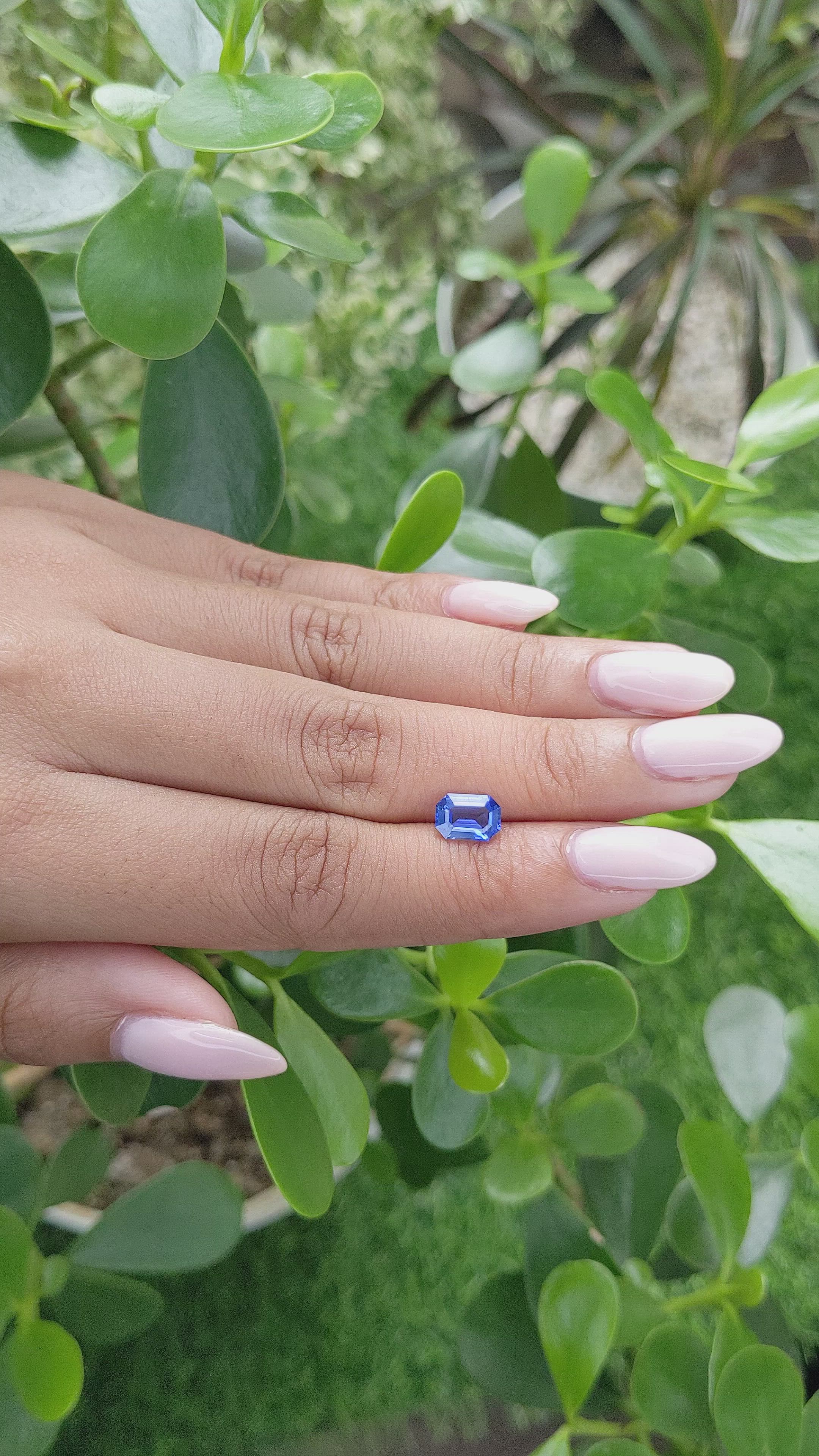 1.50 Ct. Blue Sapphire from Ceylon (Sri Lanka) Size Video