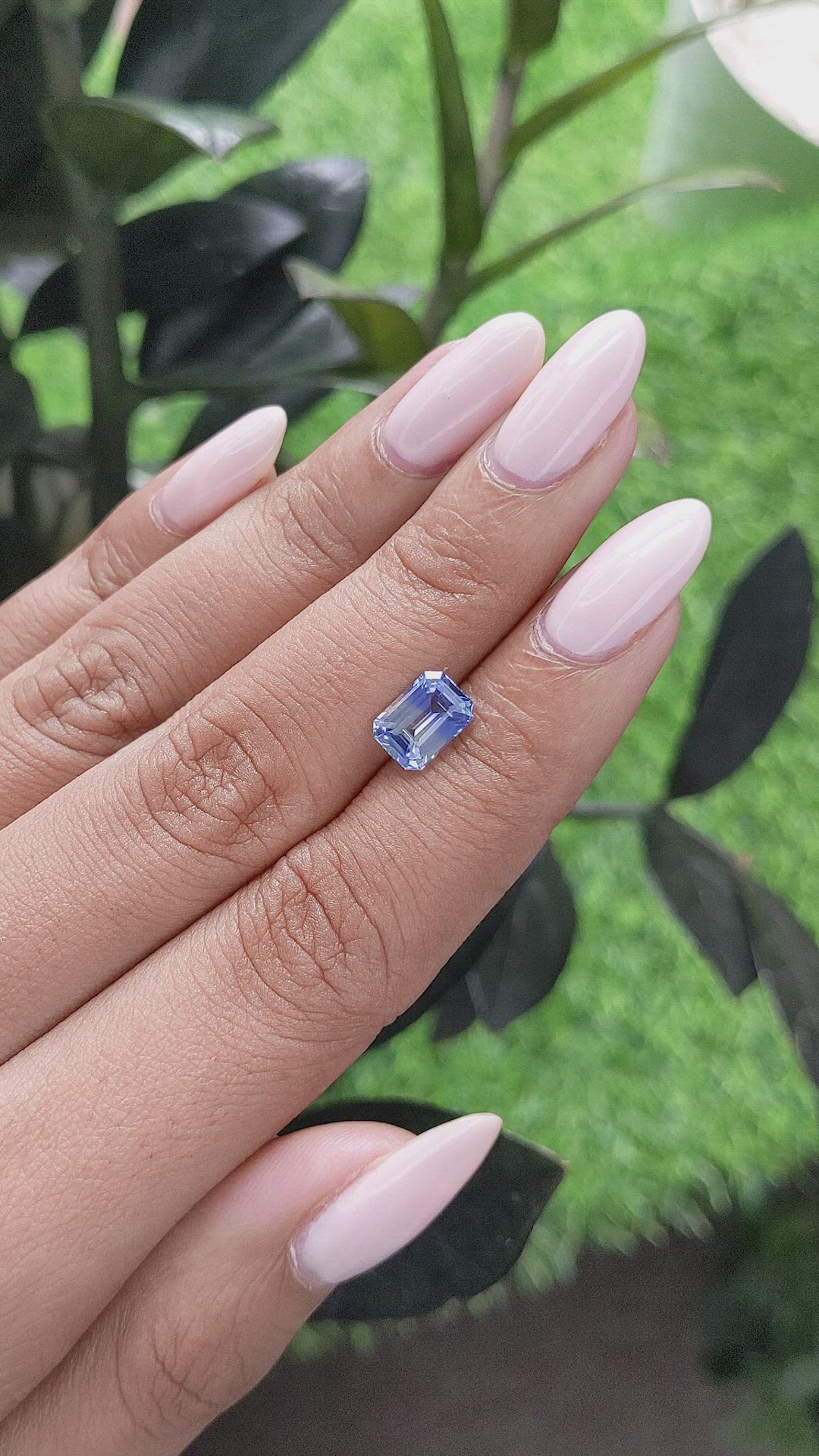 1.96 Ct. Bi Color Sapphire from Ceylon (Sri Lanka) Size Video