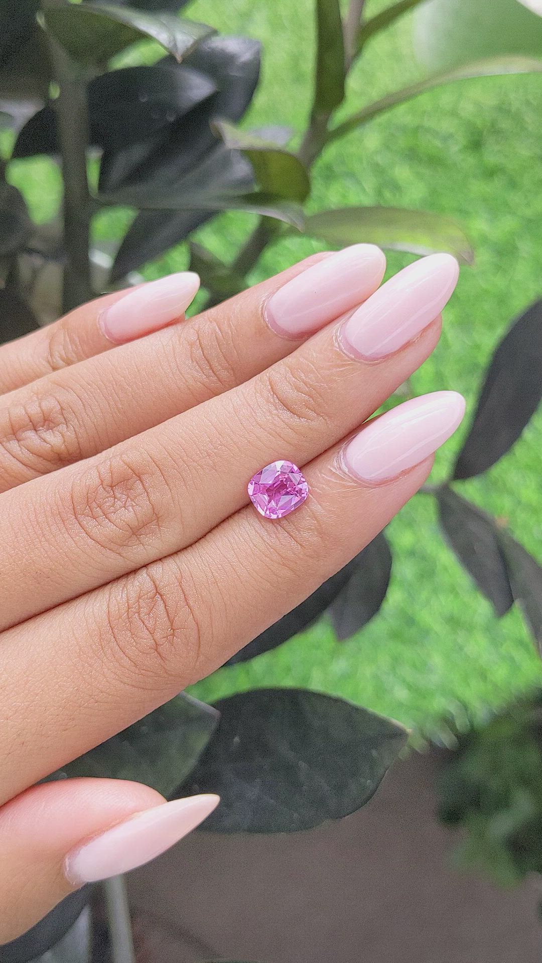 1.62 Ct. Pink Sapphire from Madagascar Size Video