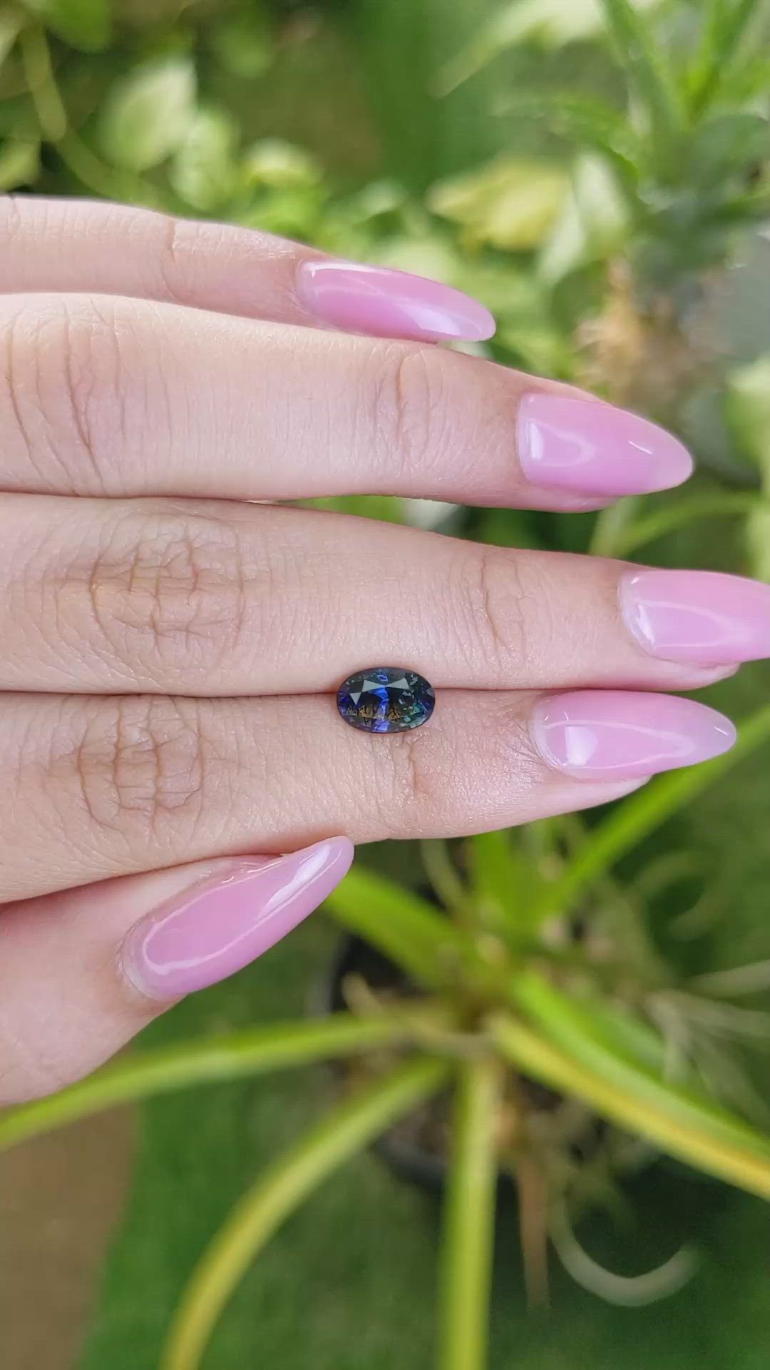 1.73 Ct. Bi Color Sapphire from Ceylon (Sri Lanka) Size Video