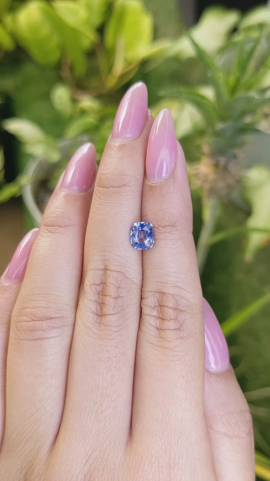 1.41 Ct. Bi Color Sapphire from Ceylon (Sri Lanka) Size Video