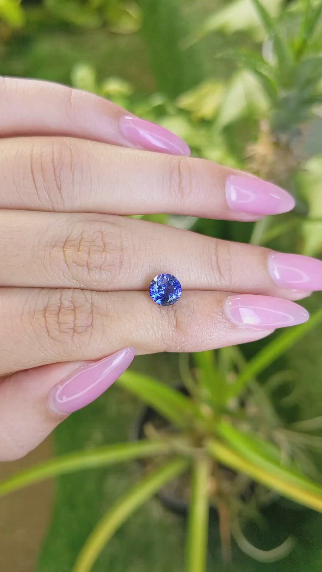 2.21 Ct. Blue Sapphire from Ceylon (Sri Lanka) Size Video