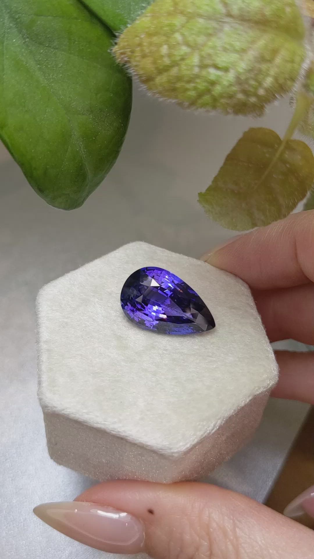 12.30 Ct. Bluish Purple Sapphire from Ceylon (Sri Lanka) Size Video