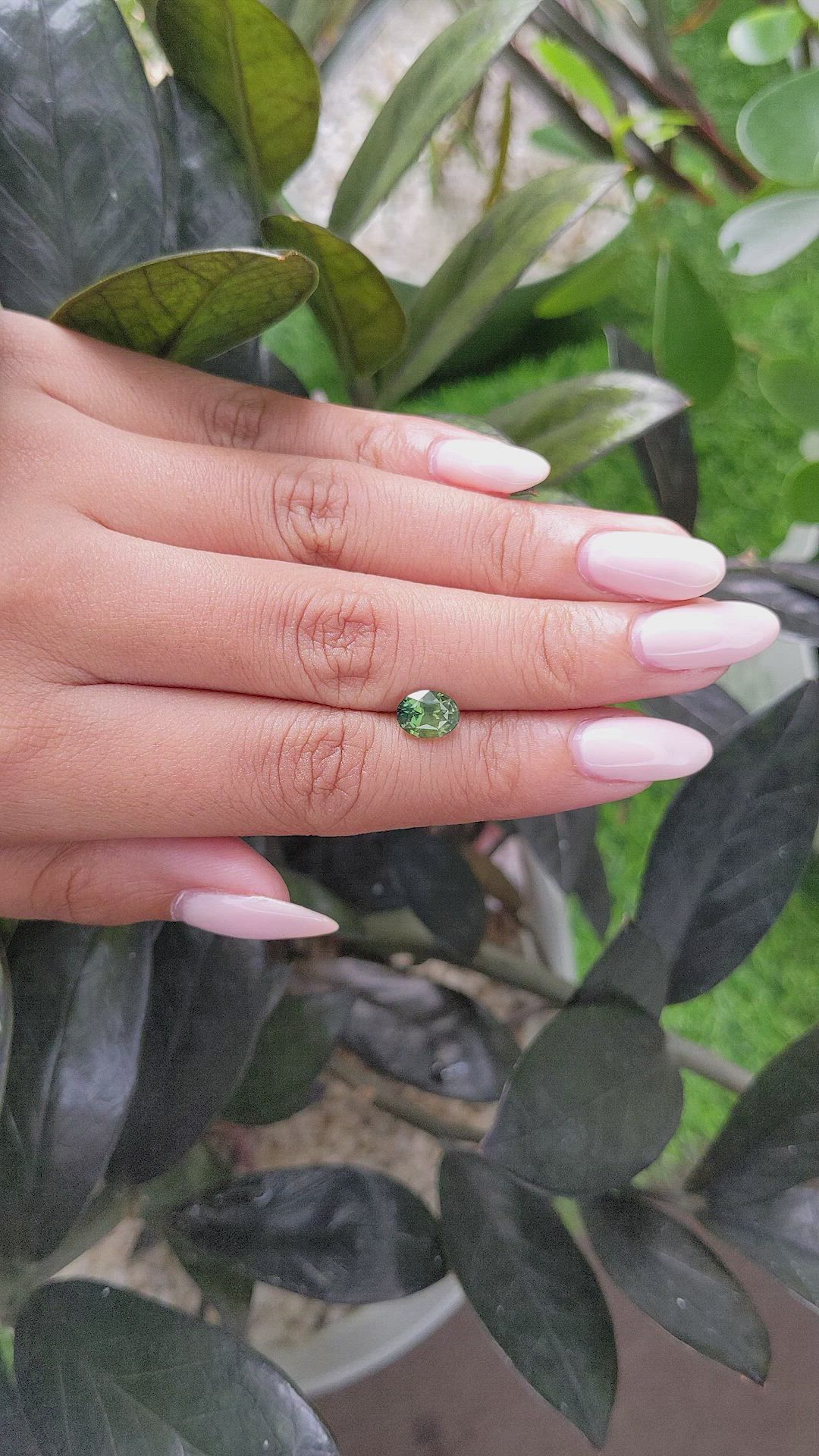 1.65 Ct. Yellowish Green Sapphire from Madagascar Size Video