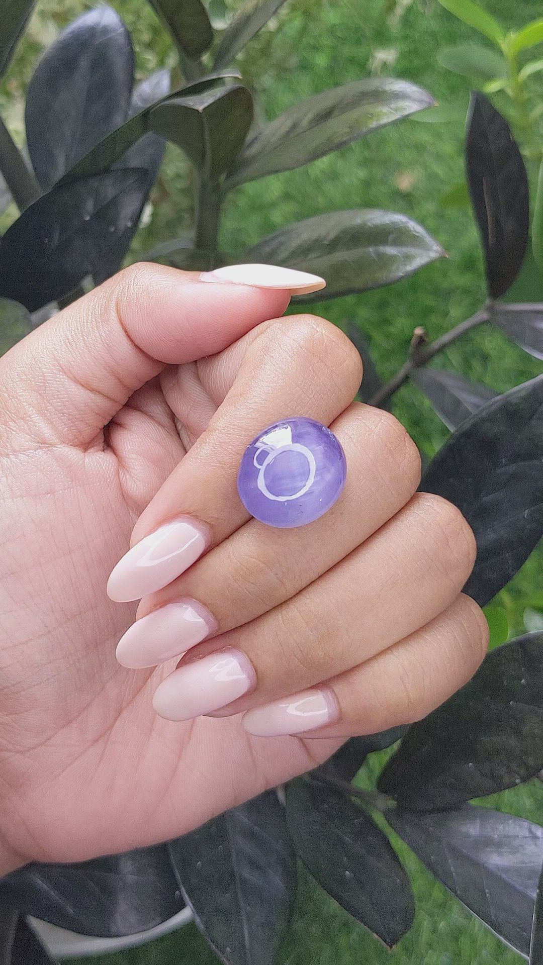 21.52 Ct. Violet Star Sapphire from Ceylon (Sri Lanka) Size Video