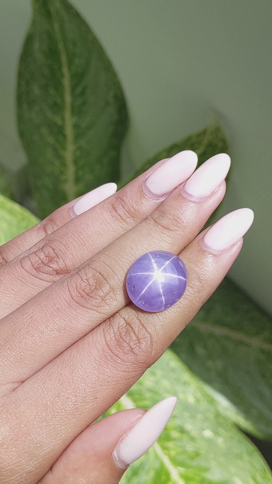 21.52 Ct. Violet Star Sapphire from Ceylon (Sri Lanka) Size Video