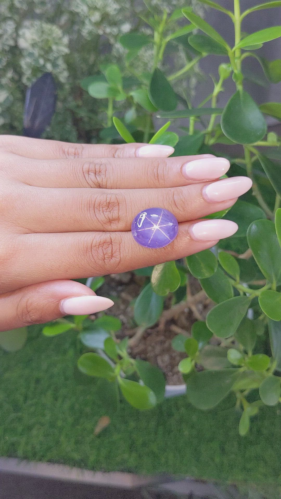 21.52 Ct. Violet Star Sapphire from Ceylon (Sri Lanka) Size Video